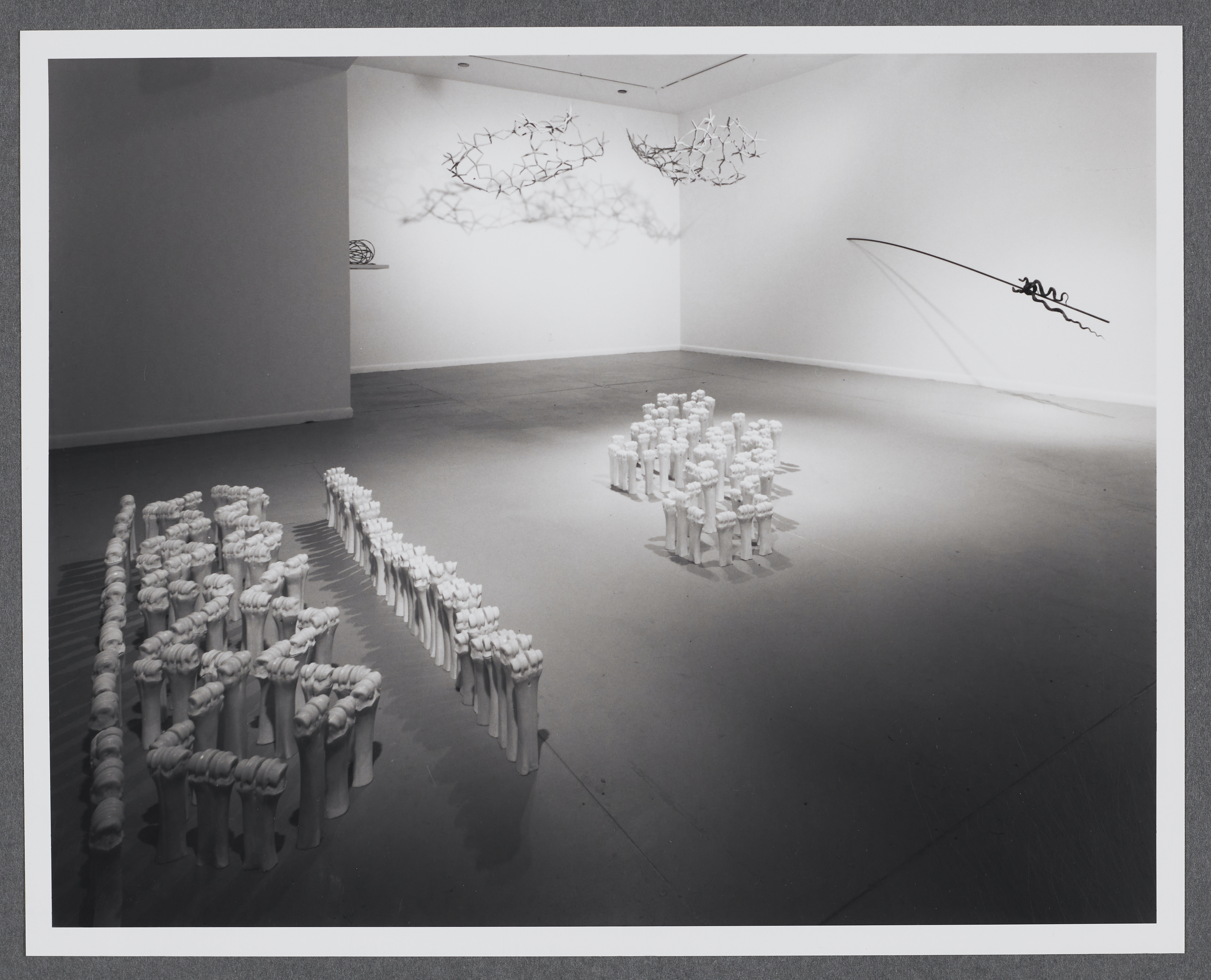 Sculptures made from preserved animals and animal by-products such as bones are displayed on the floor and walls of the gallery.