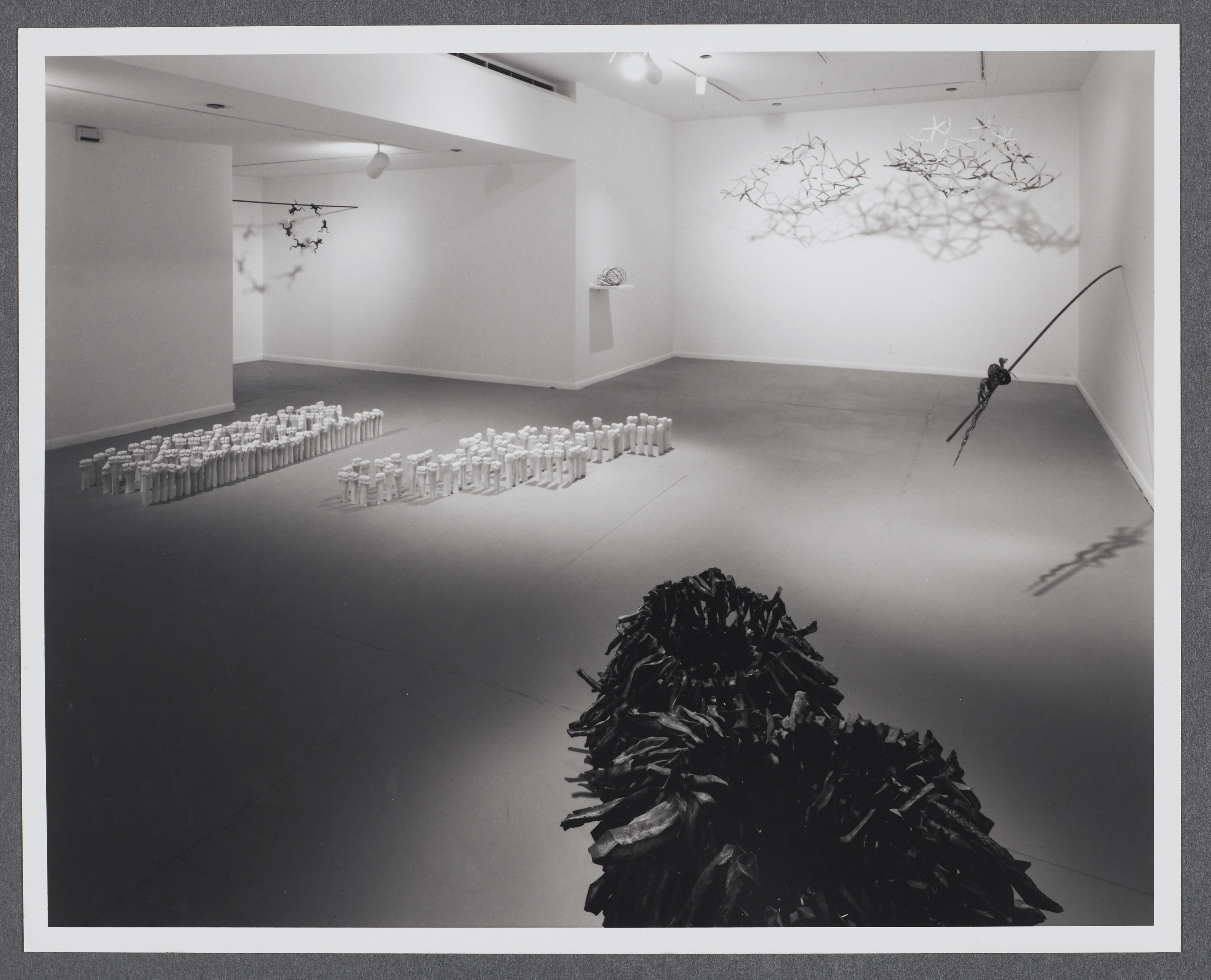 Sculptures made from preserved animals and animal by-products such as bones are displayed on the floor and walls of the gallery.