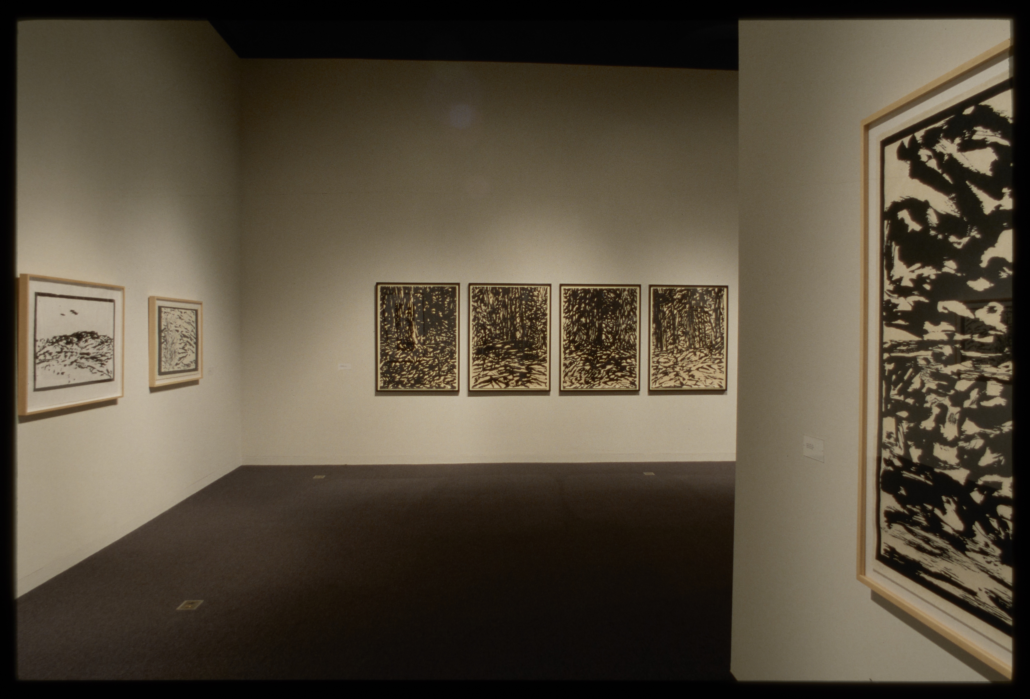 Seven large framed black and white woodblock prints of abstract nature images hang on three different gallery walls.