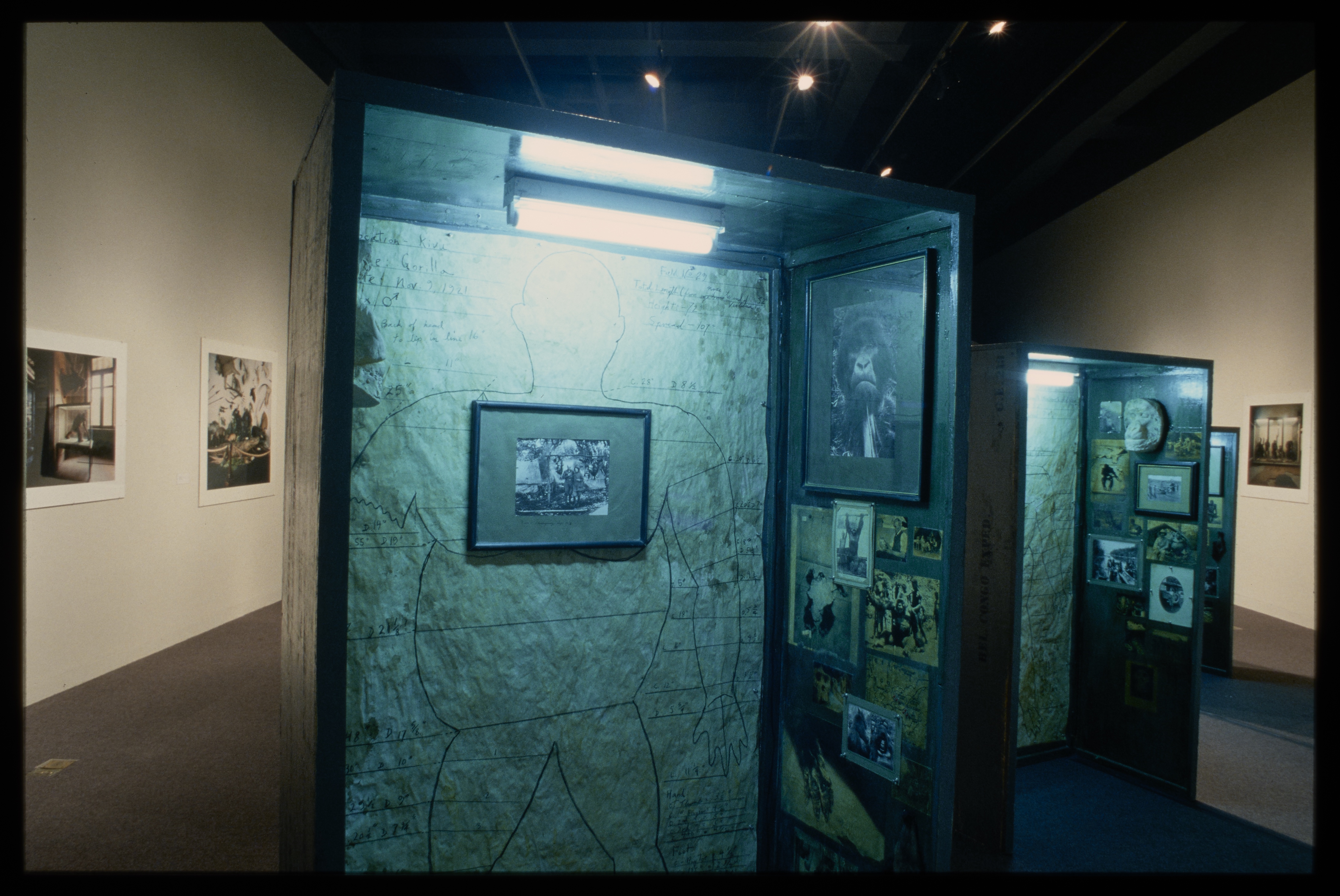 Installation view, Next of Kin: Great Apes, MIT List Visual Arts Center, 1995. Archival slide.