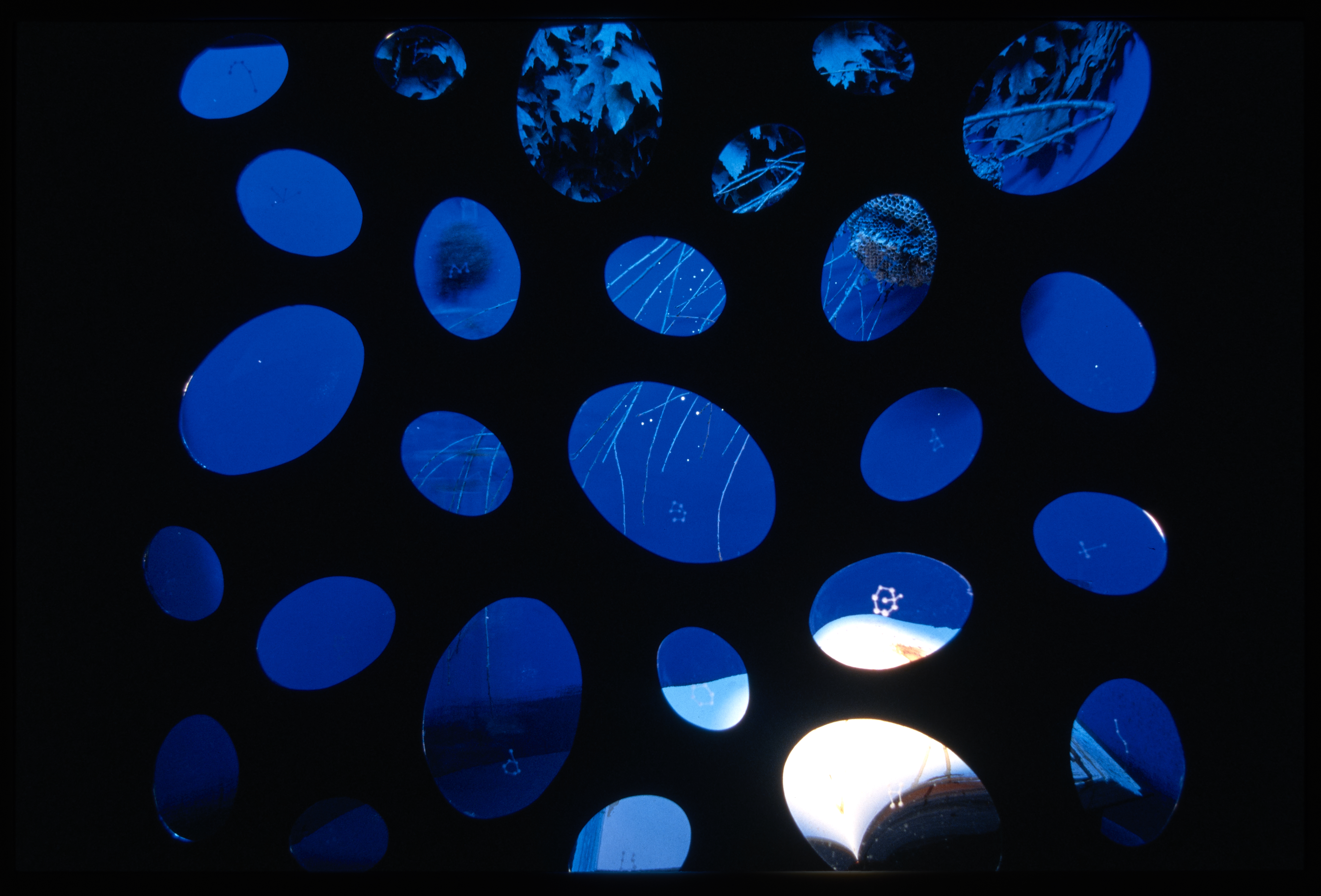 Twenty six elliptical glass lenses reveal glimpses of leaves and delicate twigs, small letters and circular images.