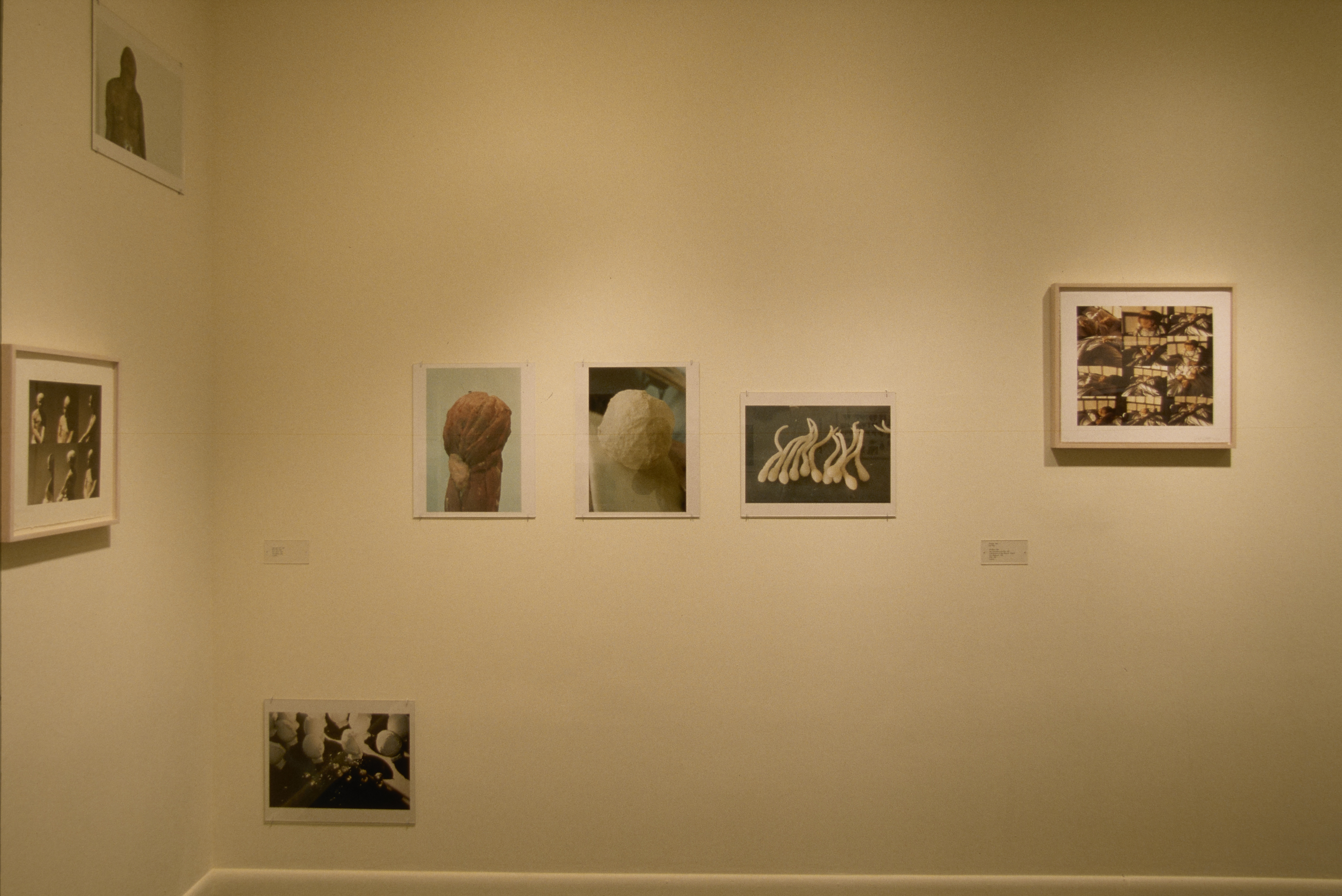 An arrangement of 7 muted-color and monochromatic prints scattered on 2 gallery walls