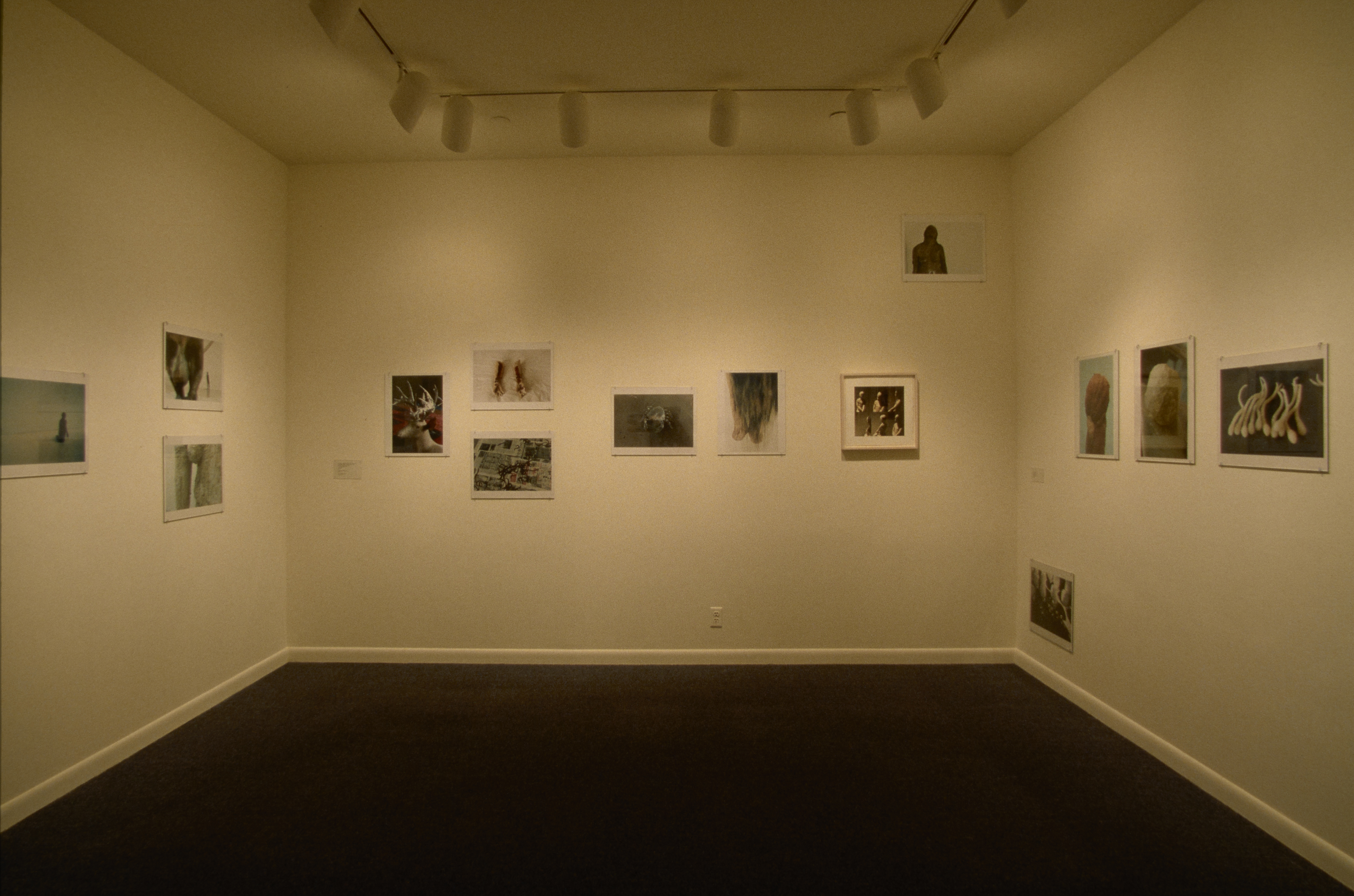 14 muted-color and monochromatic prints arranged at various heights on 3 gallery walls