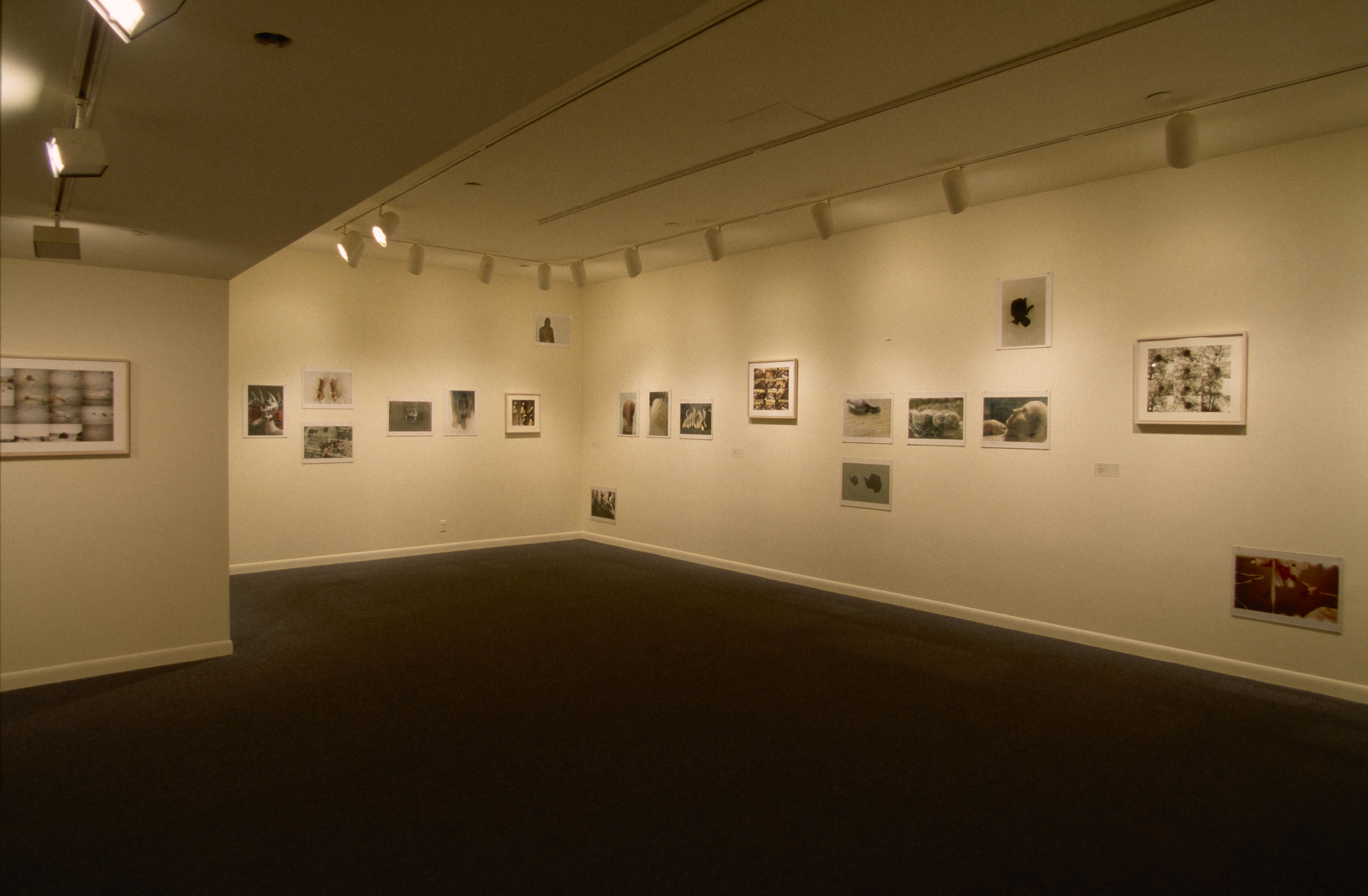 Monochromatic and muted-color prints mounted in an abstract pattern span a long and adjacent short walls of the gallery