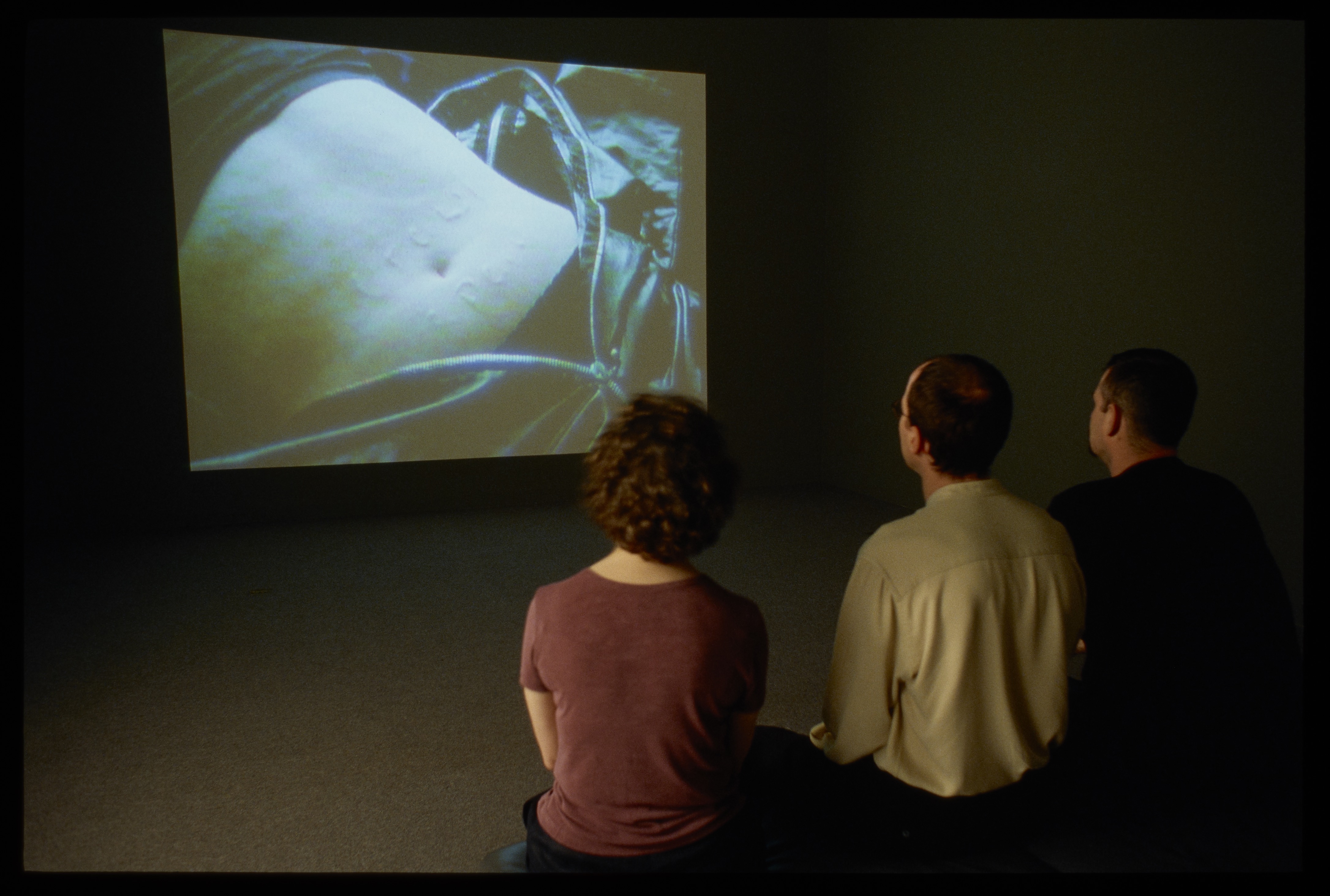 Three viewers sitting in a darkened gallery with an image of a male torso on the screen.