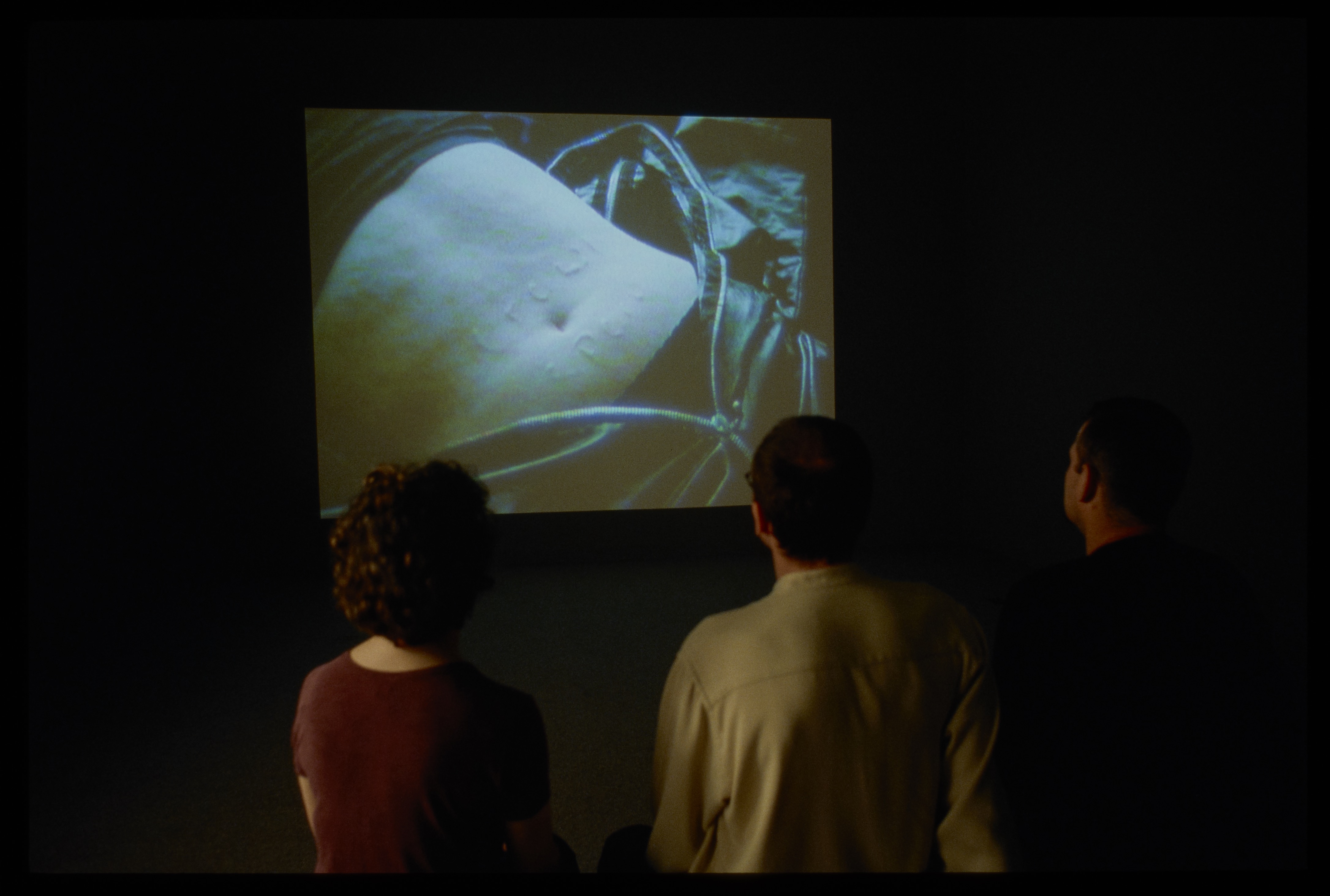Three viewers sitting in a darkened gallery with an image of a male torso on the screen.