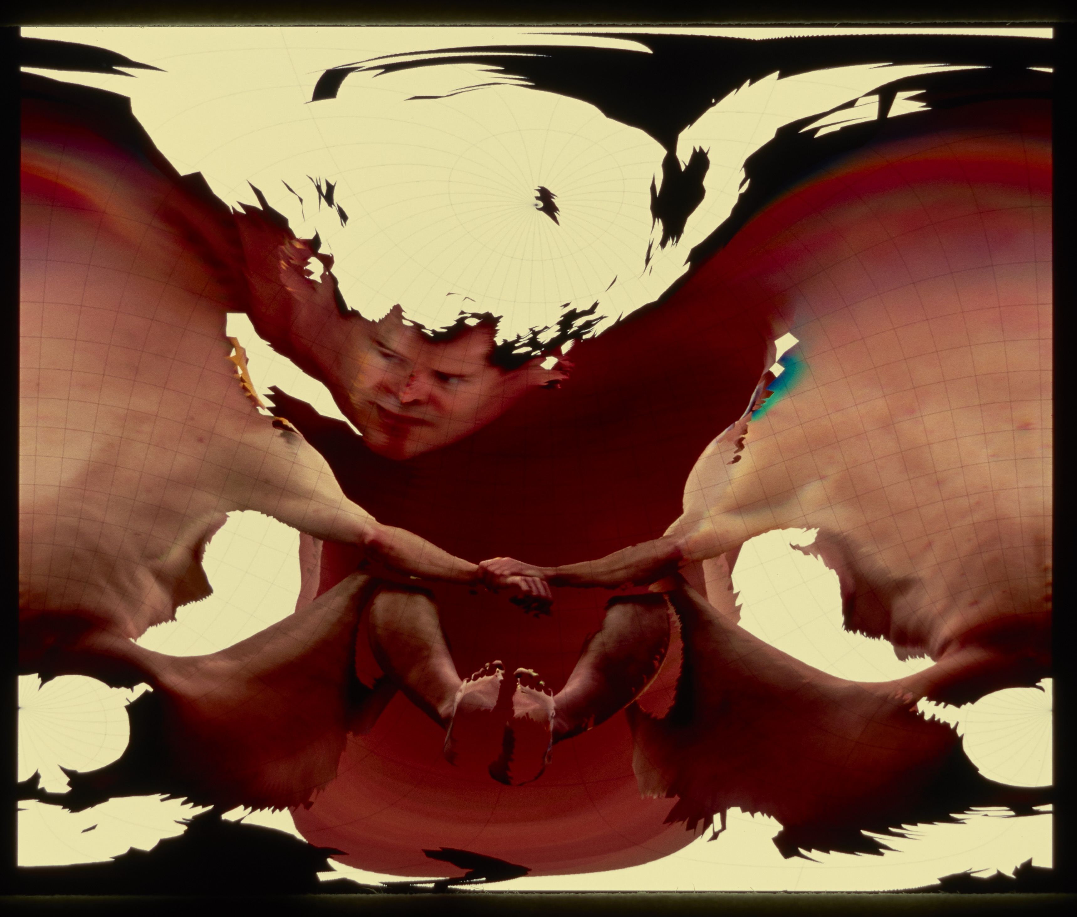 Image detail resembling a swirl of brown on a white background with an abstracted face in the center.