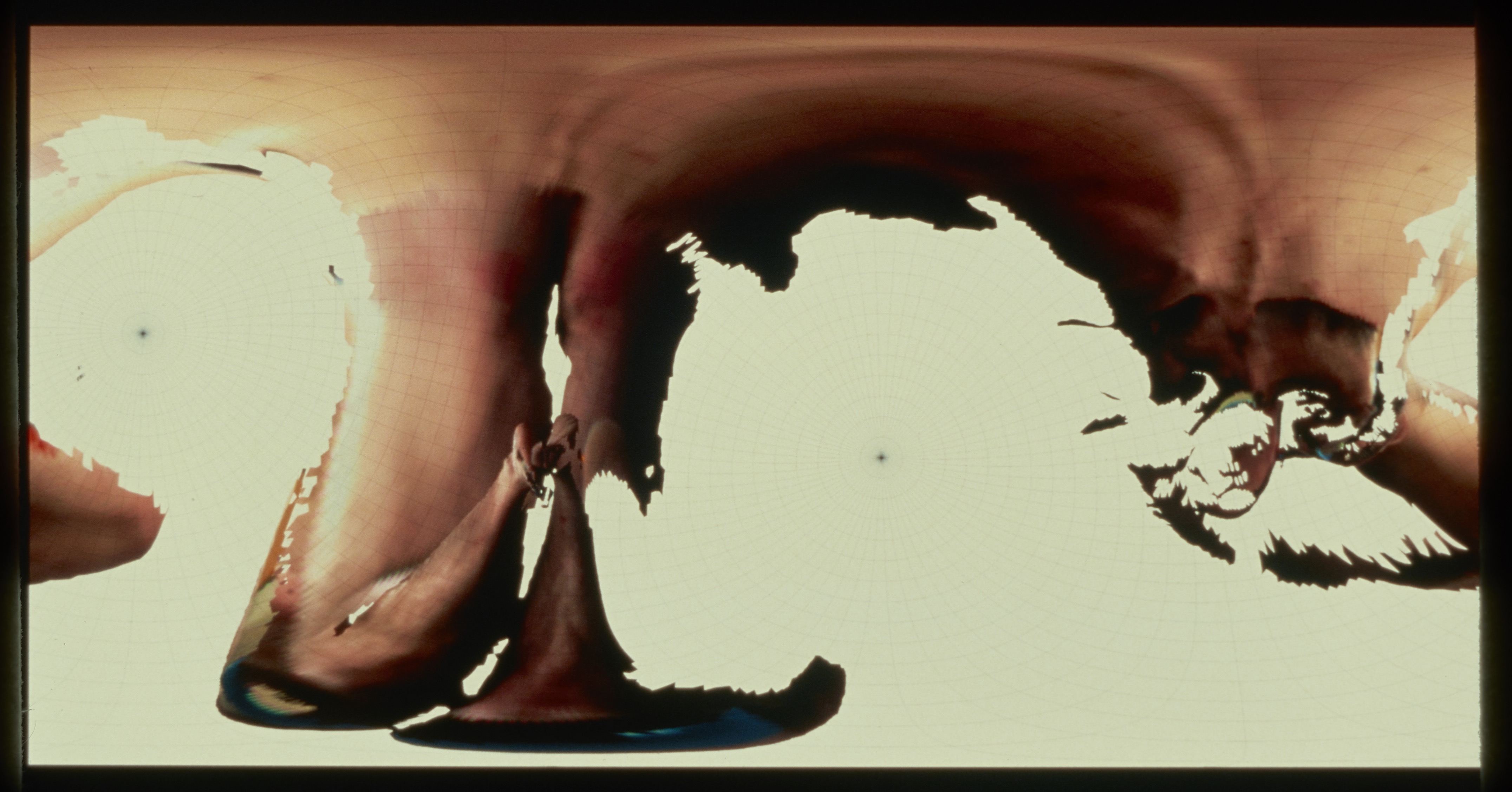 Image detail resembling a swirl of brown on a white backgrouw with an abstracted face in the center.