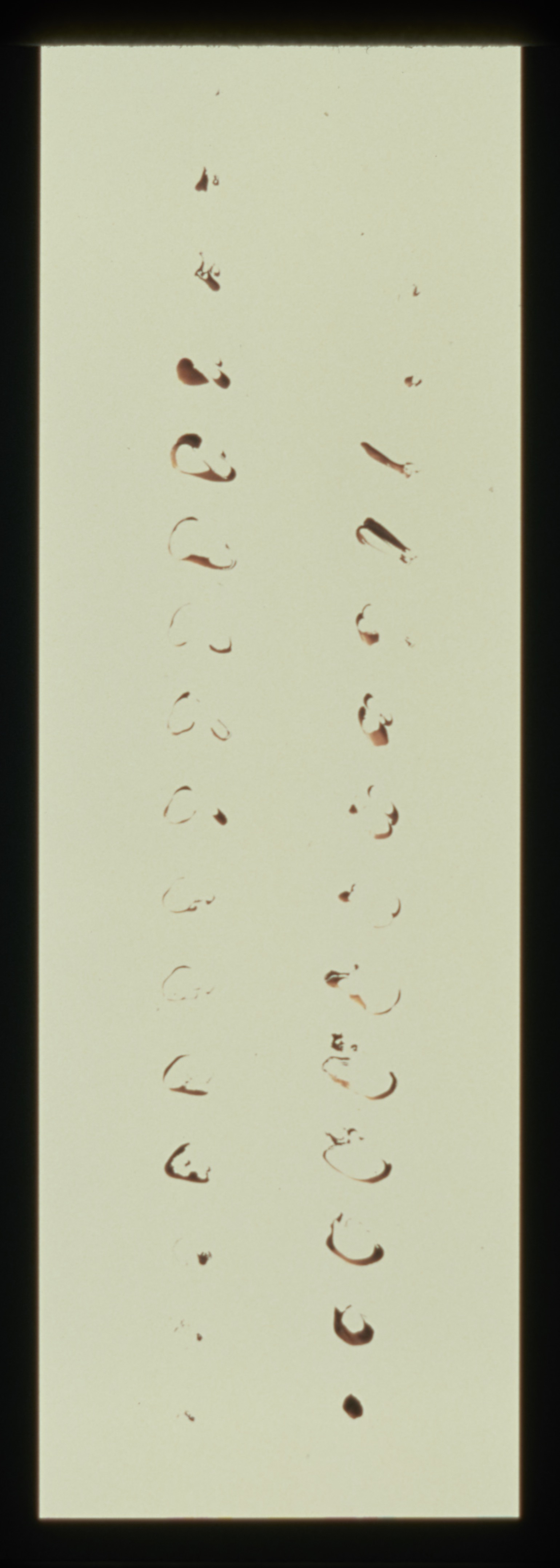 Framed work with 2 rows of small brown swirls.