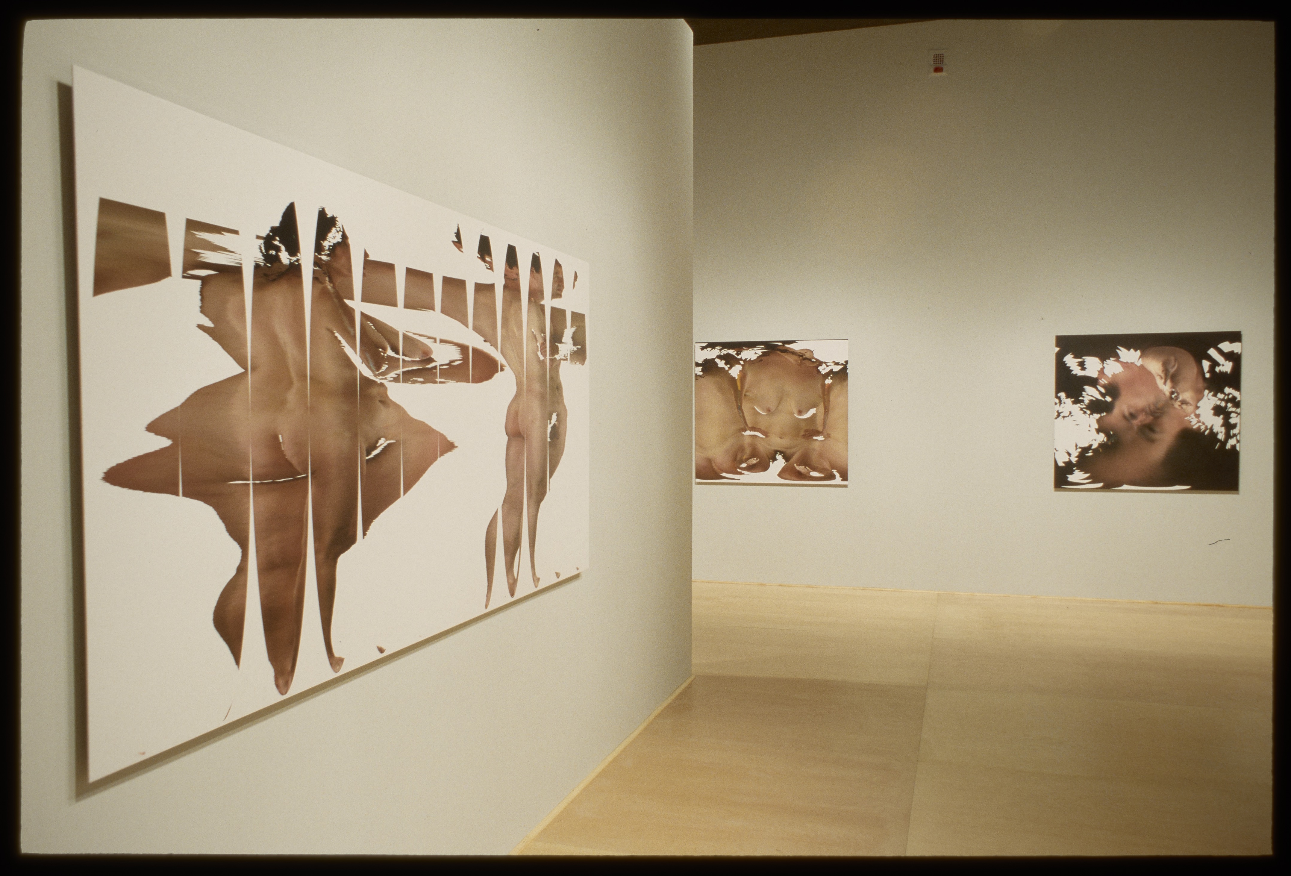 3 large works in gallery - all are light brown with white background.