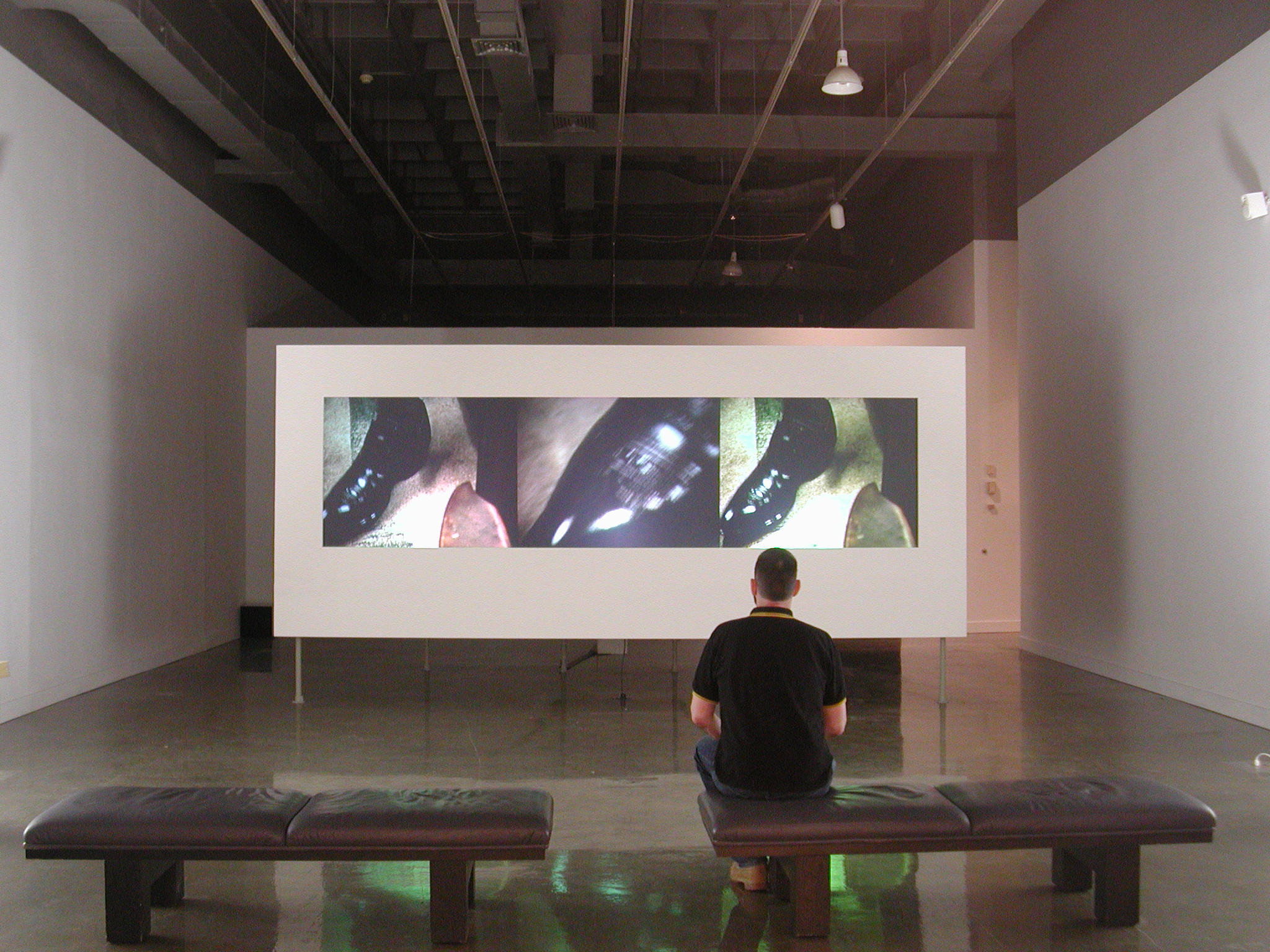 A man on a bench watches a film whose long horizontal format shows 3 similar images side by side.