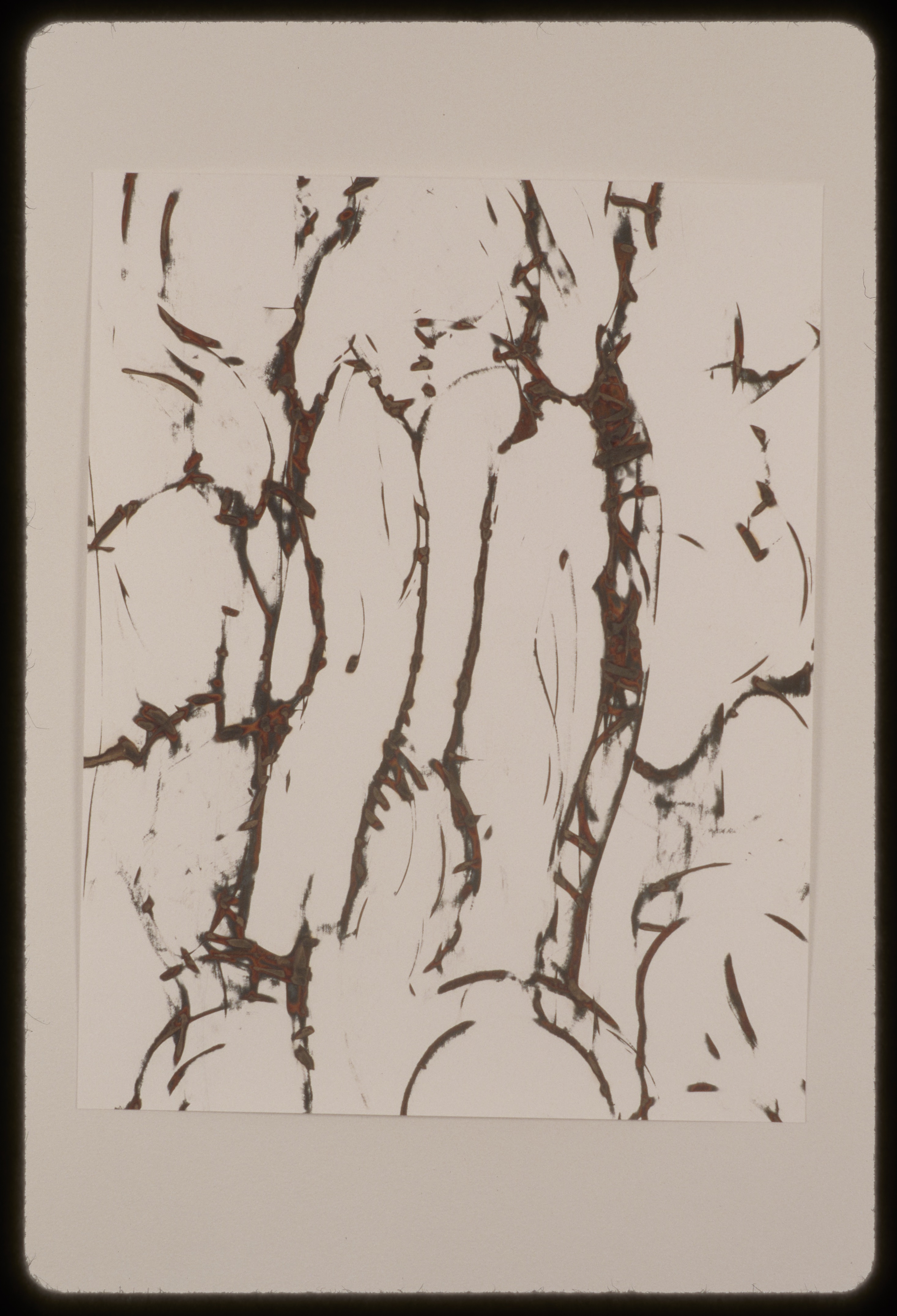 Thin jittery brown lines and markings appear to jump around the paper.