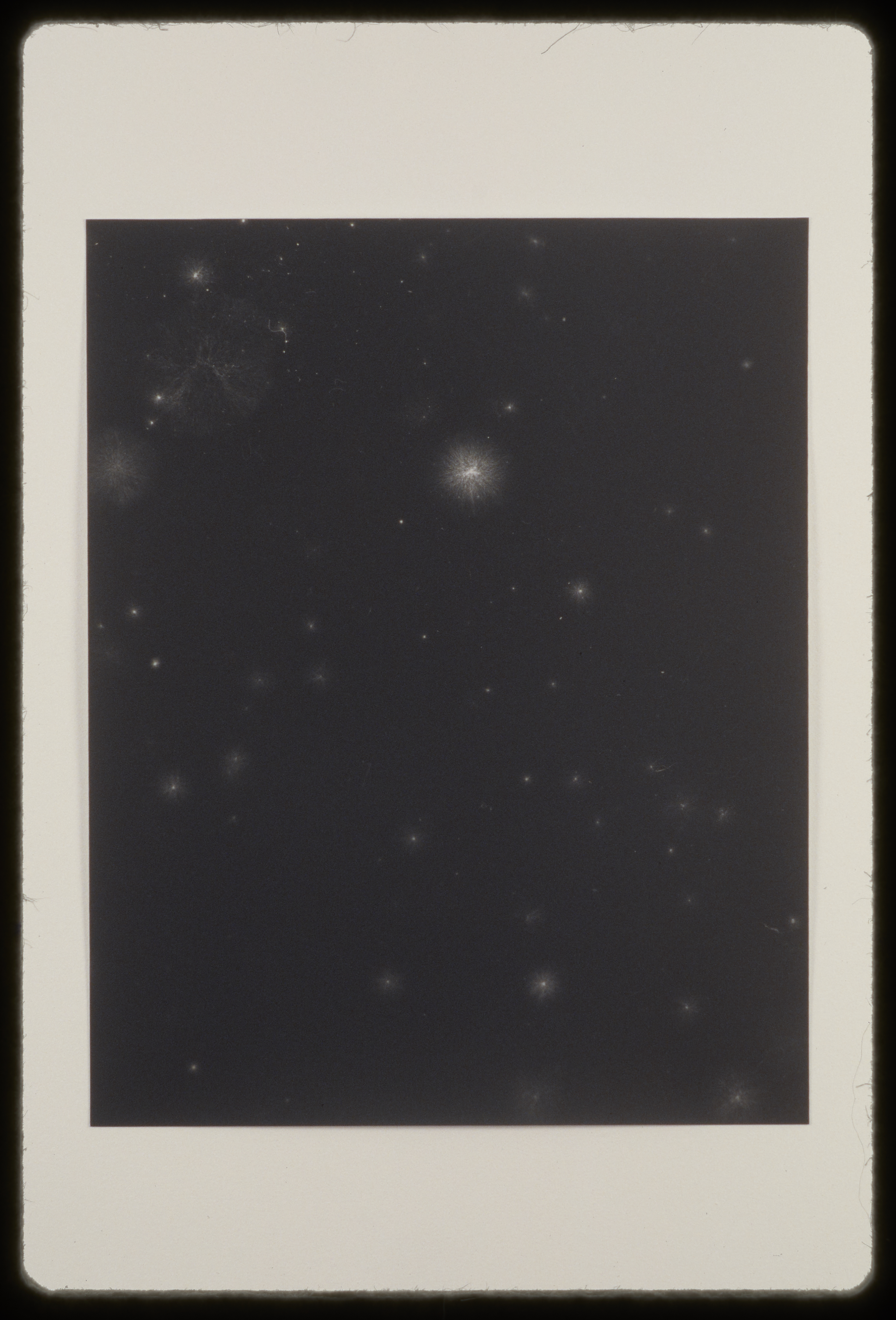 Haloed pinpricks of light on a black background have the appearance of stars in a night sky.