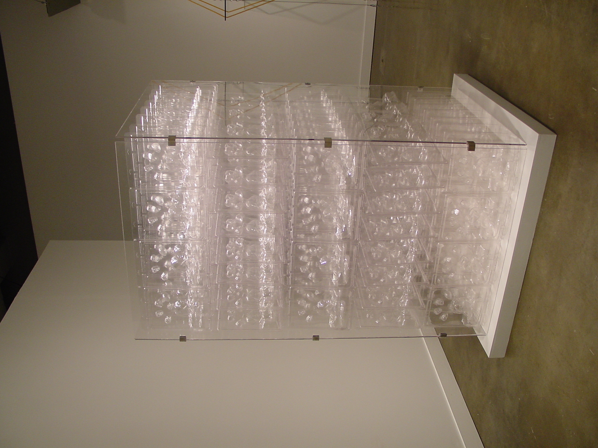 Plastic forms fill tall plexiglass box on a white platform in gallery space