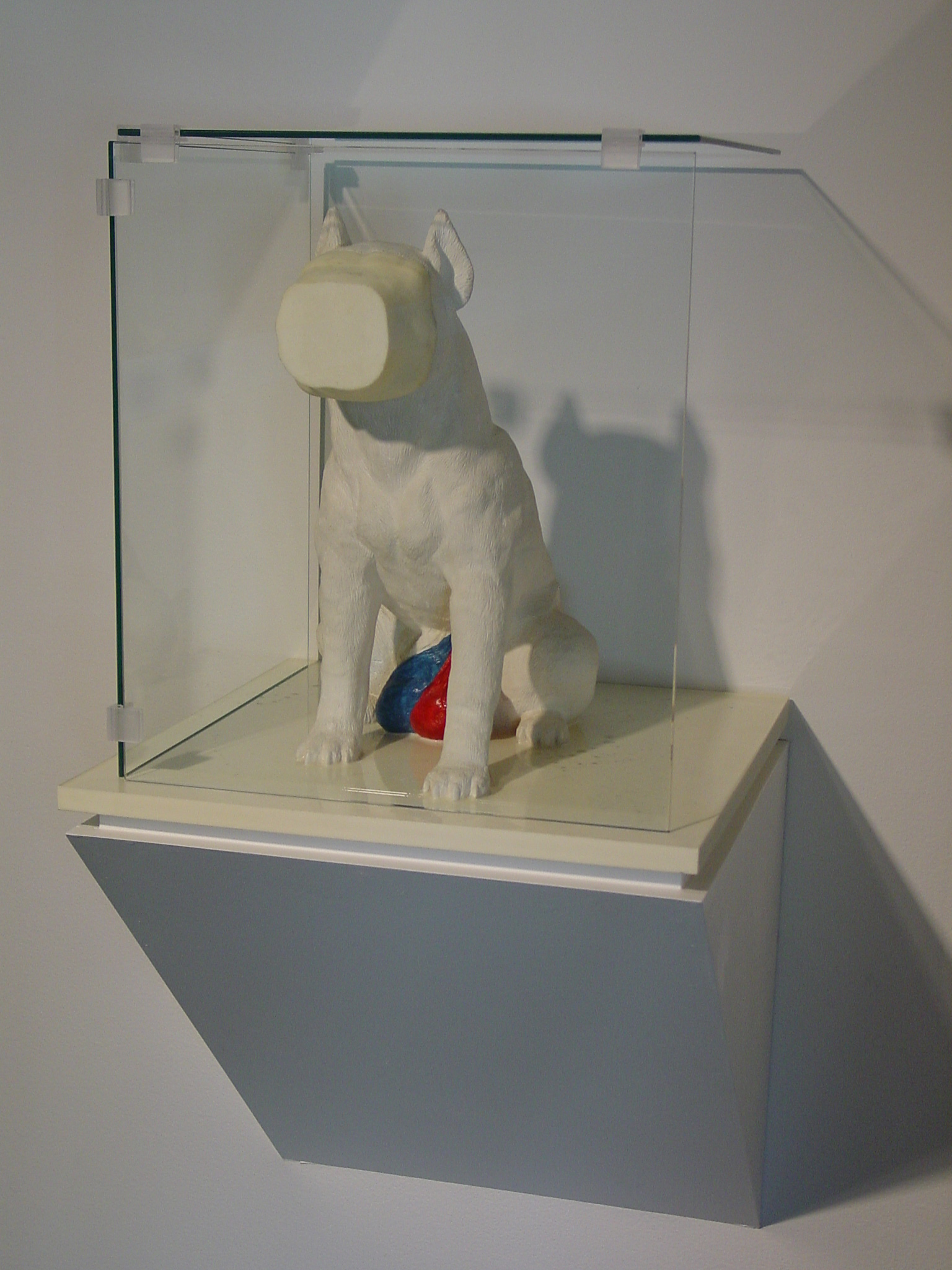 Mounted to the wall, a glass vitrine holds plaster statue of a seated dog with a flattened face