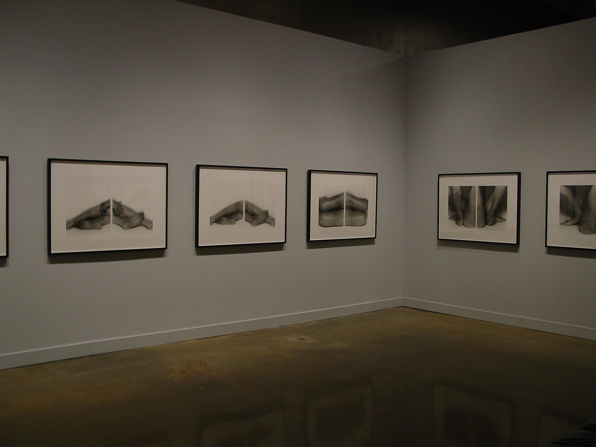 A series of framed black and white photographs hung equally spaced along two gallery walls.