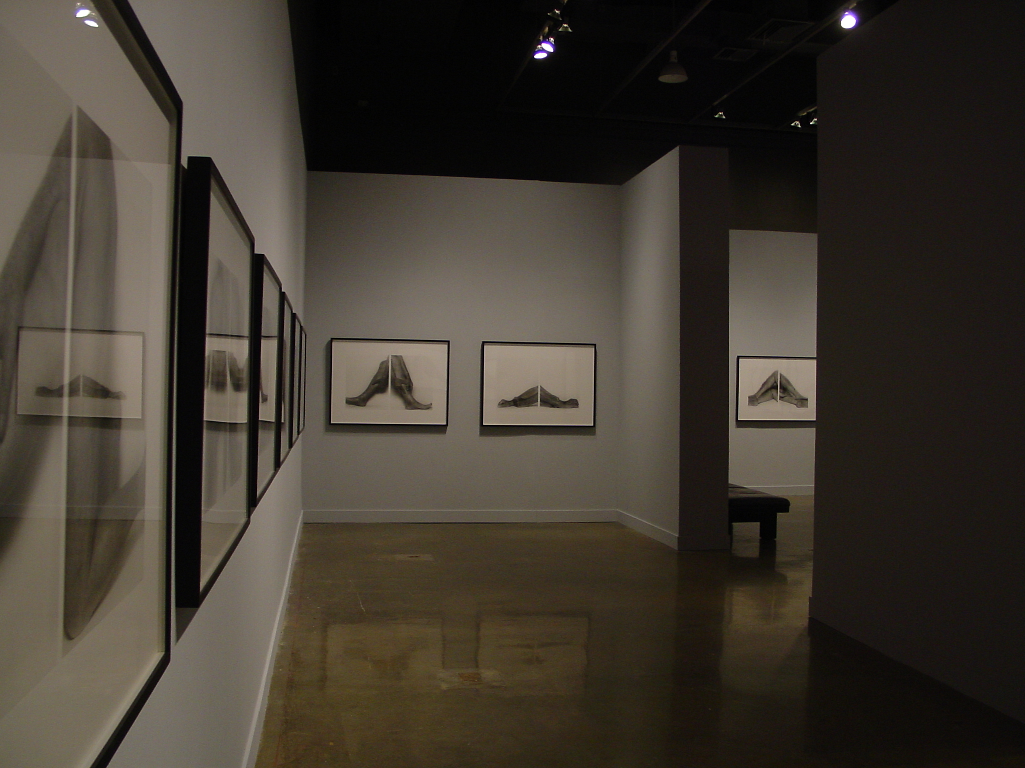 A close view of a line of framed black and white photos hung along a wall with a reflection of two more photos in the glass.