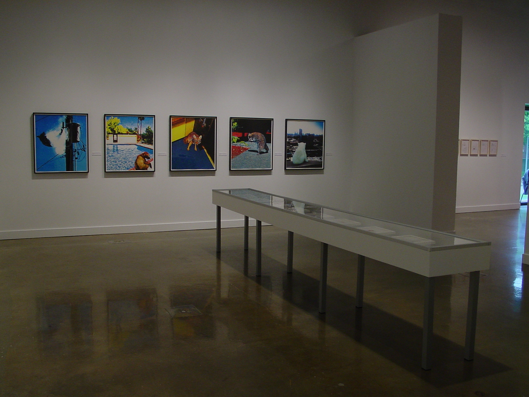 Five brightly colors framed works hang on the wall behind a long table-like vitrine on the gallery floor