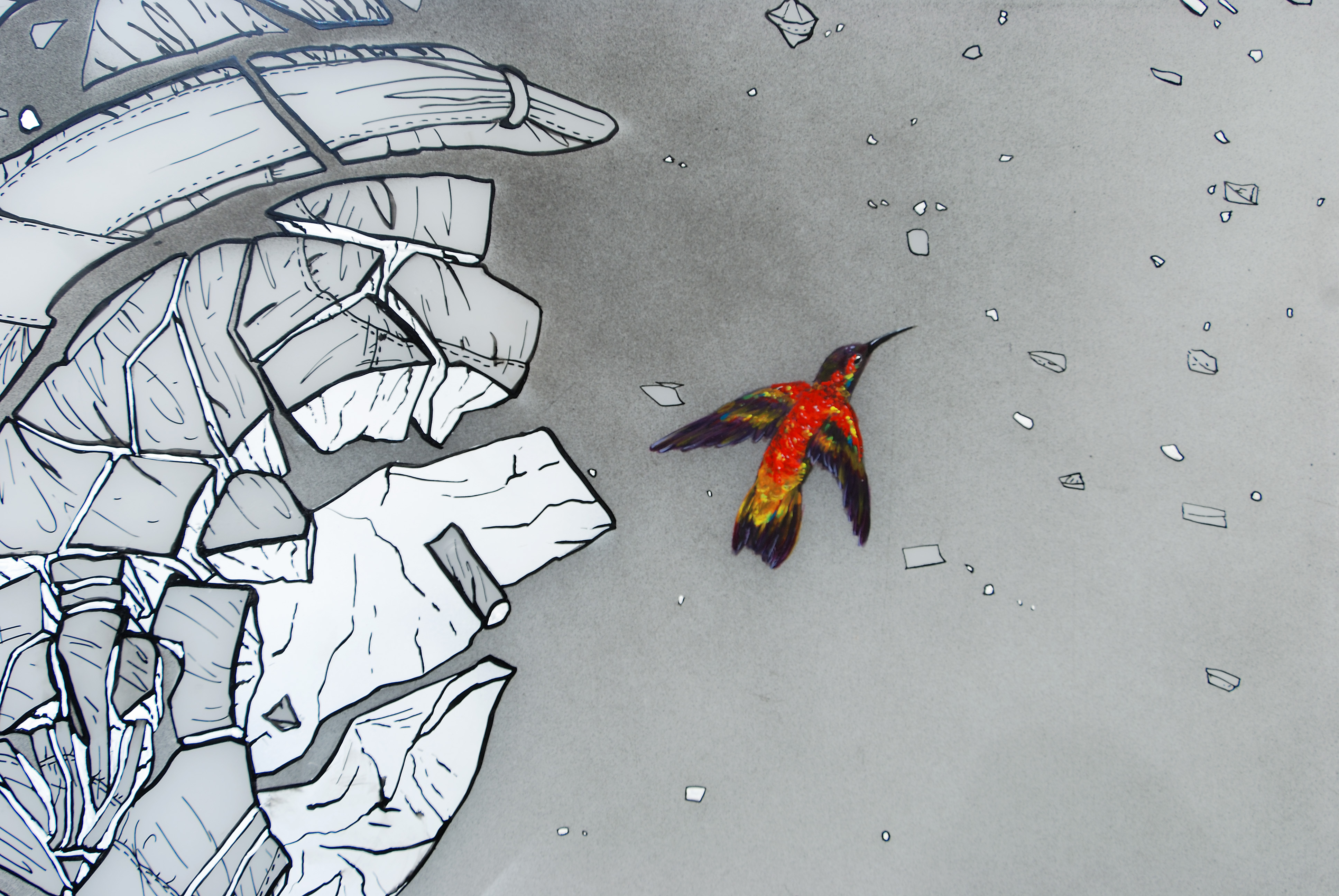 A red and brown Caribbean humming bird surrounded by exploded black and white fragments on a gray background.