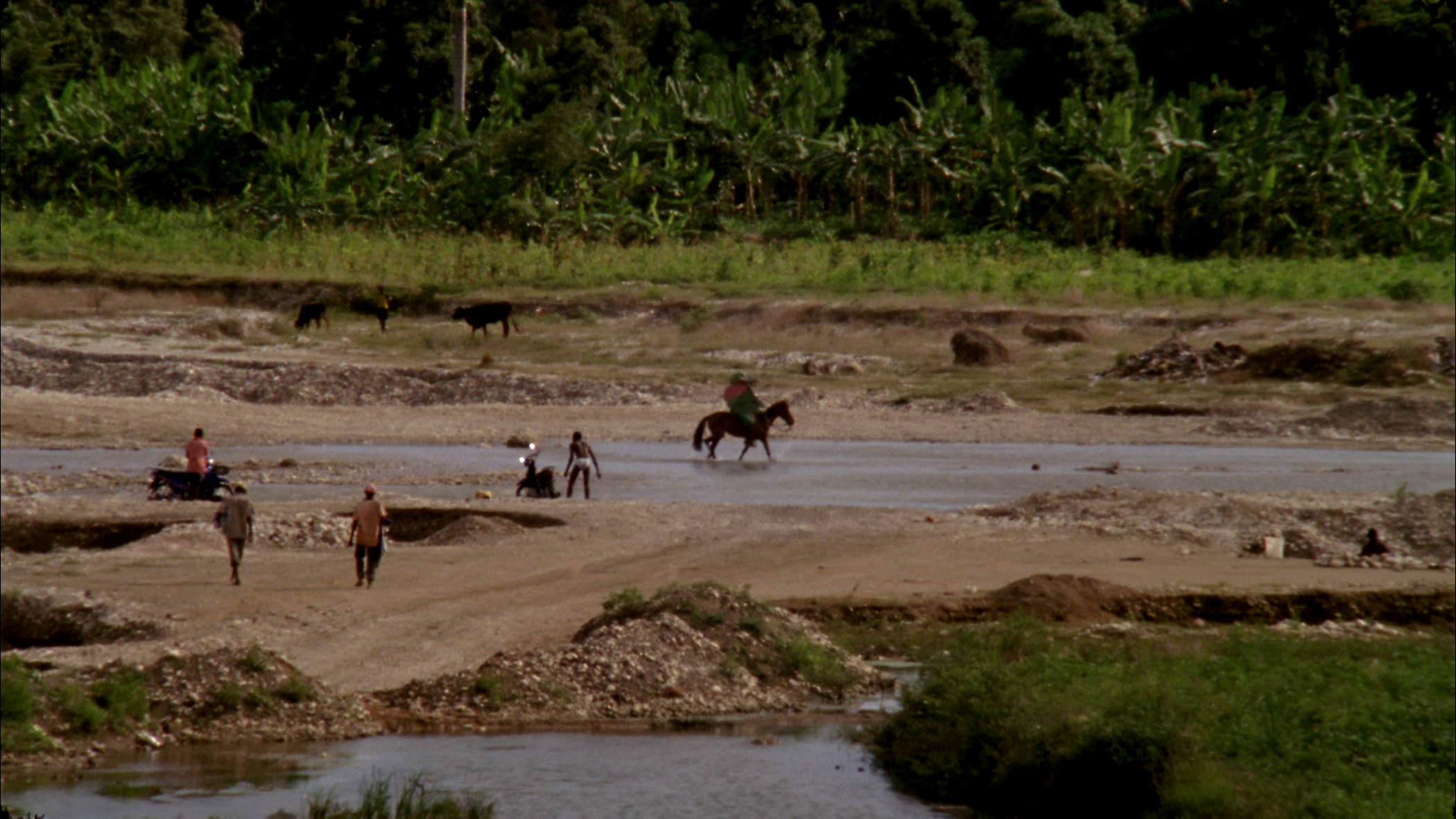 A long shot of people and animals on a watery rugged patch of land, lined with dense vegetation in the background.