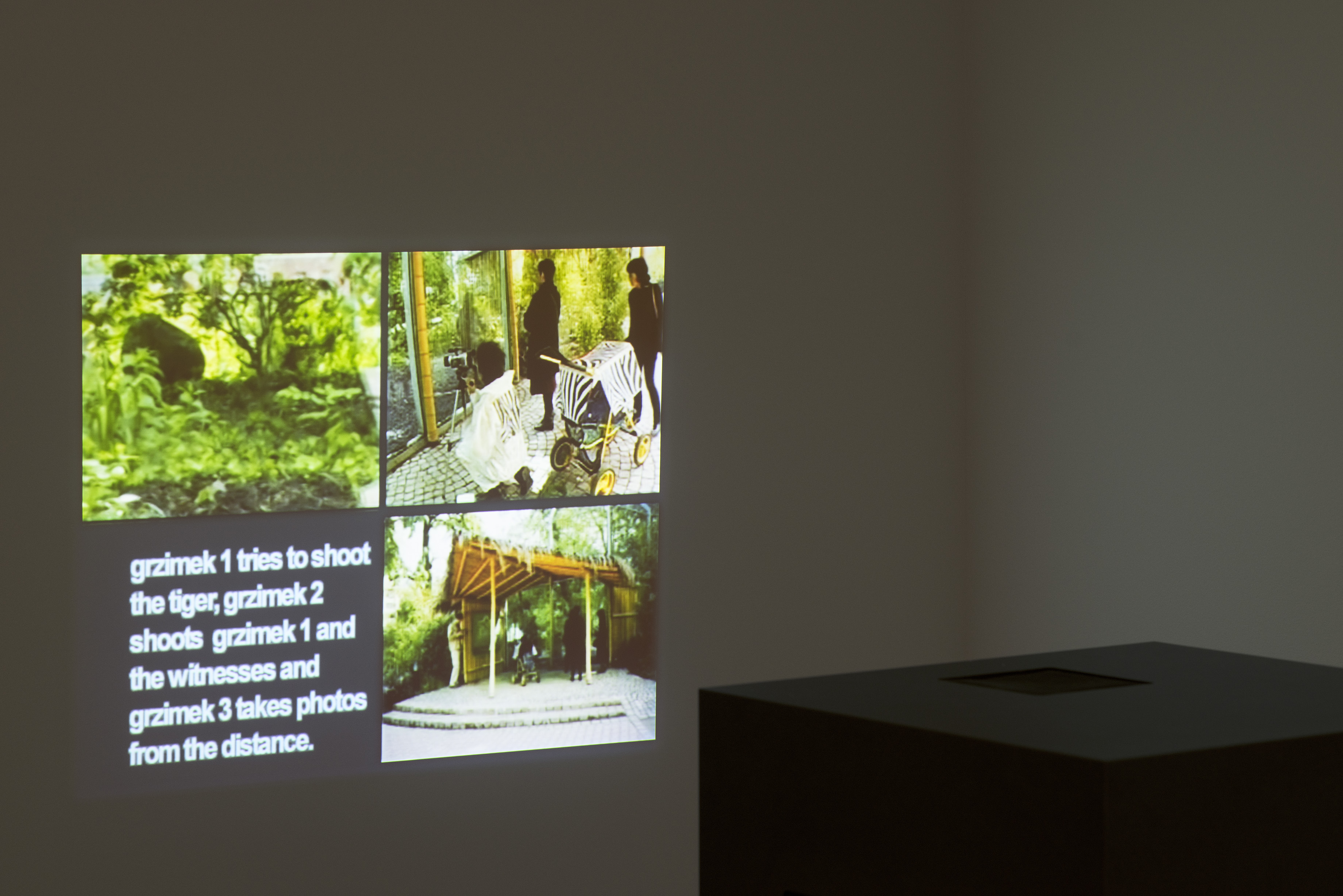 A frame containing a text box and 3 images of lush green plant growth with onlookers projected on a dark wall.