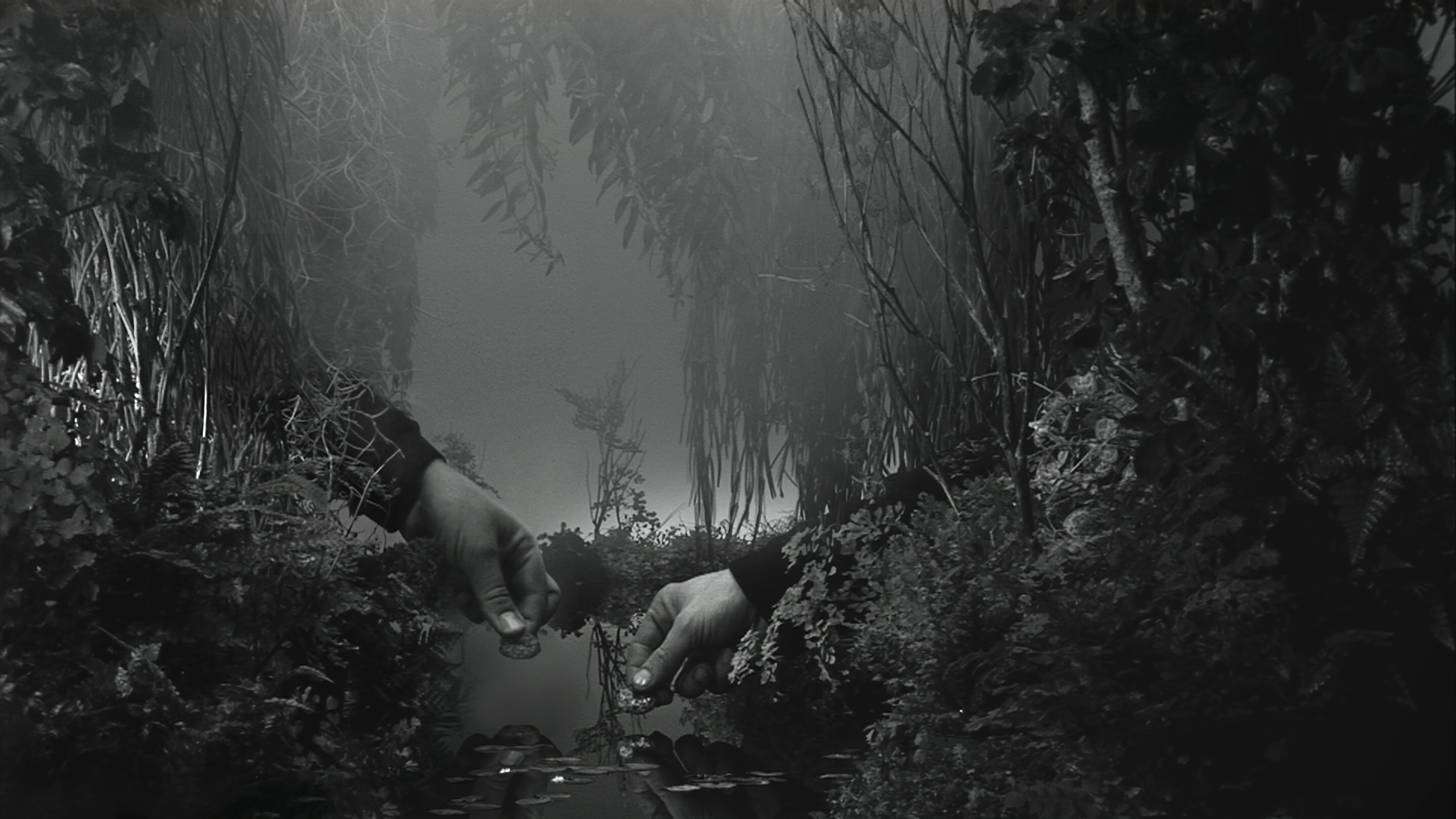 2 hands reach into a lush jungle landscape formed by dirt mounds and vegetation silhouetted in hazy back light.