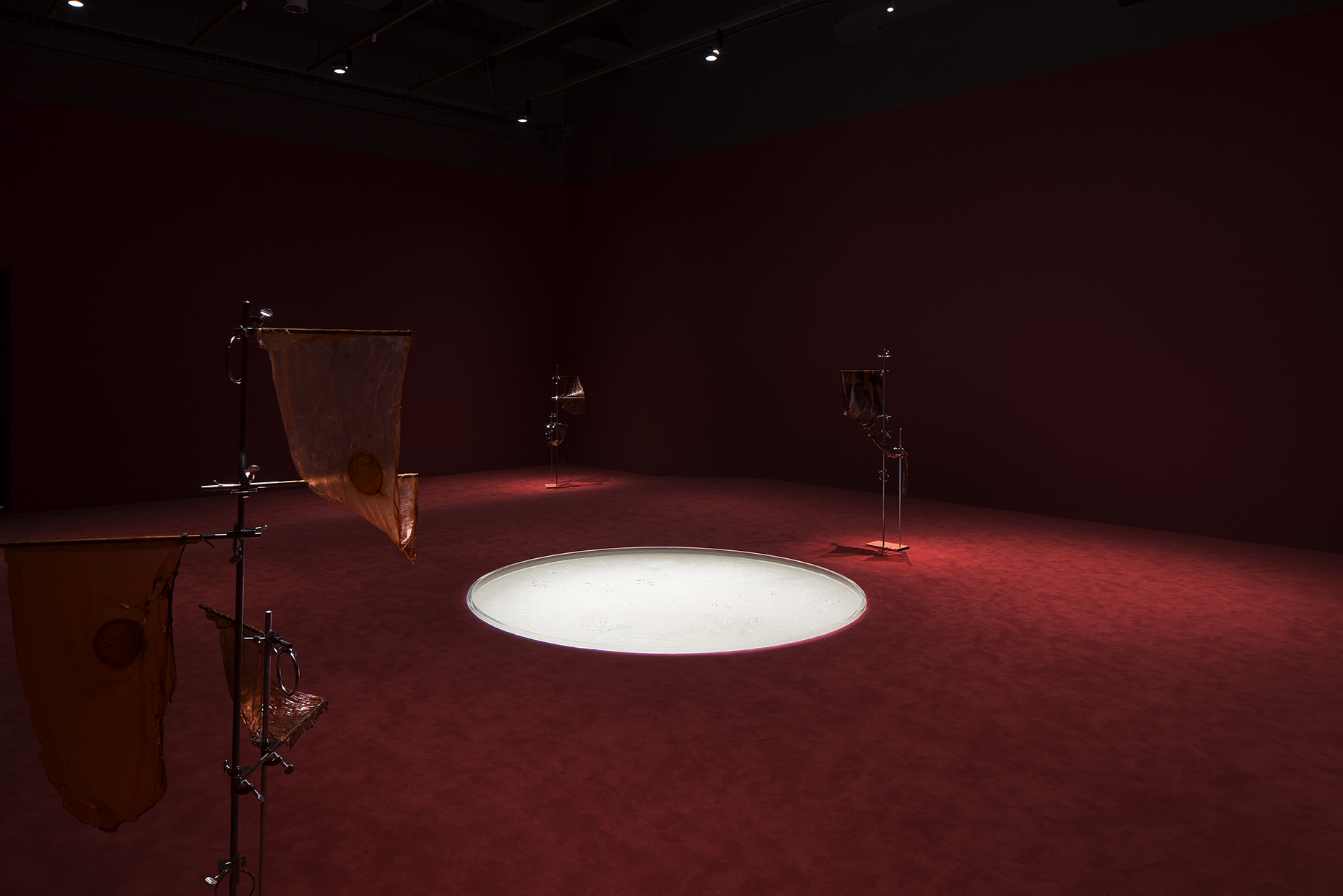 Anicka Yi: 6,070,430K of Digital Spit | MIT List Visual Arts Center