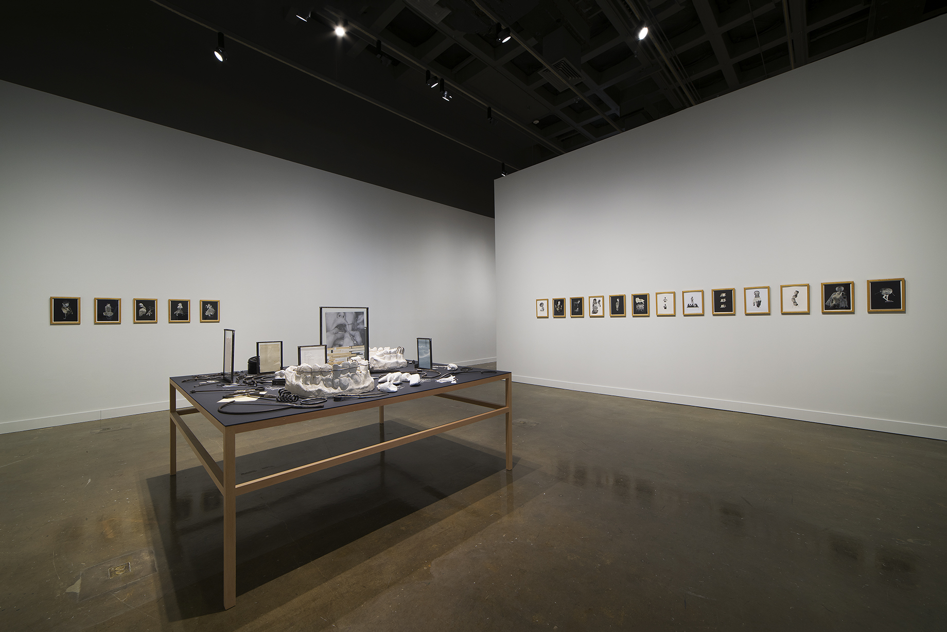 Installation view of Eva Koťátková: Out of Sight at MIT List Visual Arts Center, 2015.