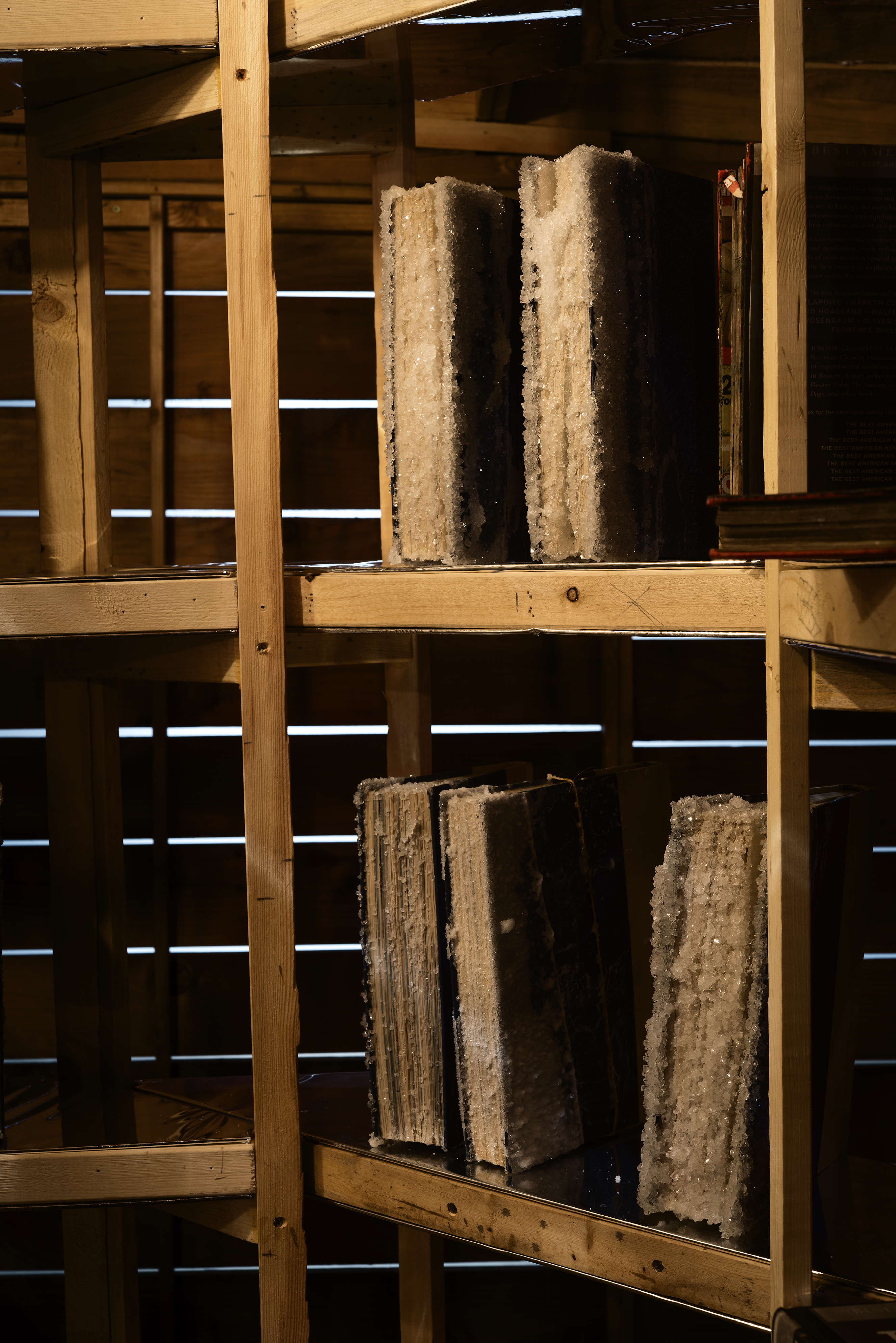 A close up of vertical wood shelves with several rough textured encrusted books the same color as the shelves