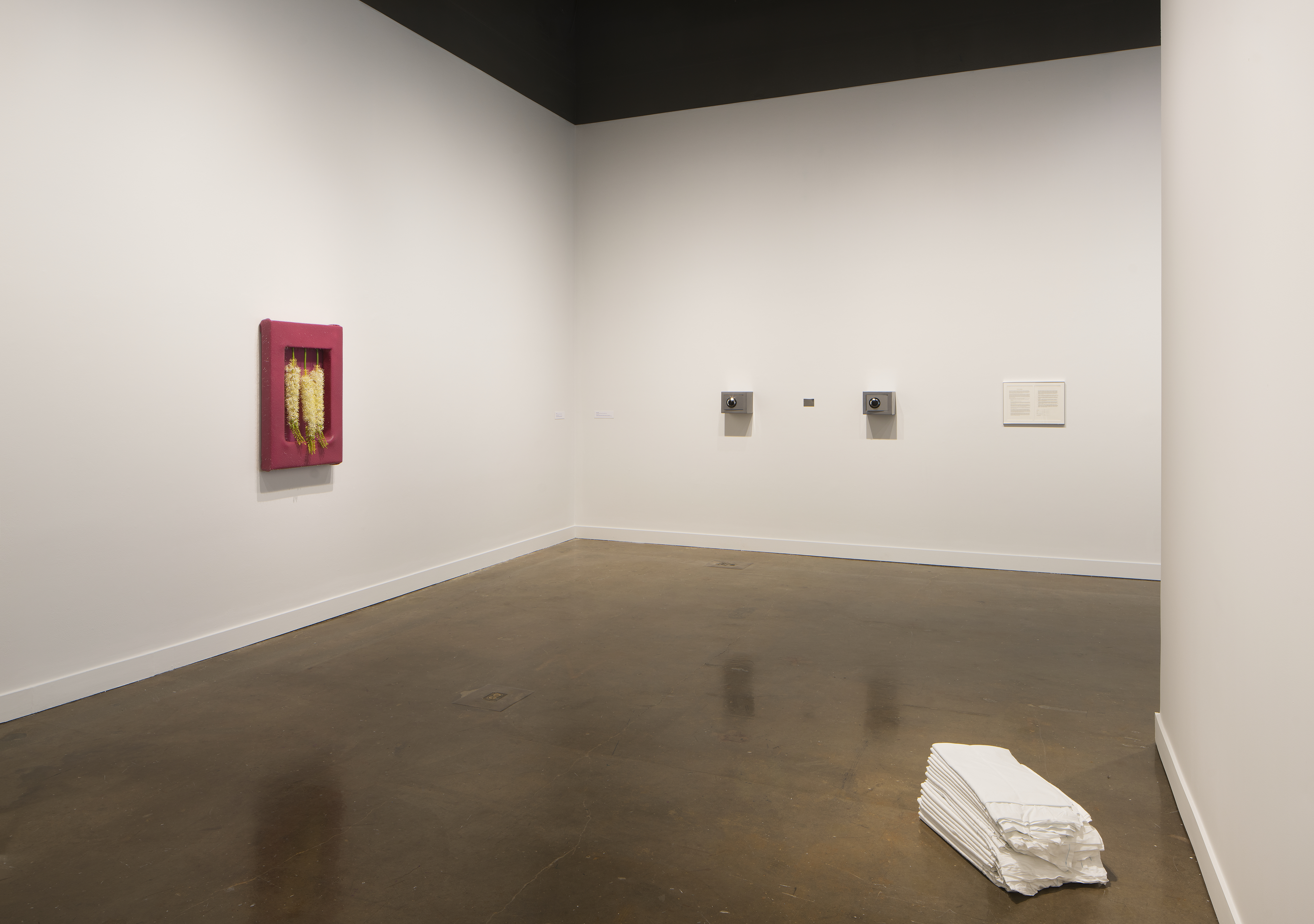 Installation view of An Inventory of Shimmers: Objects of Intimacy in Contemporary Art, MIT List Visual Arts Center, 2017
