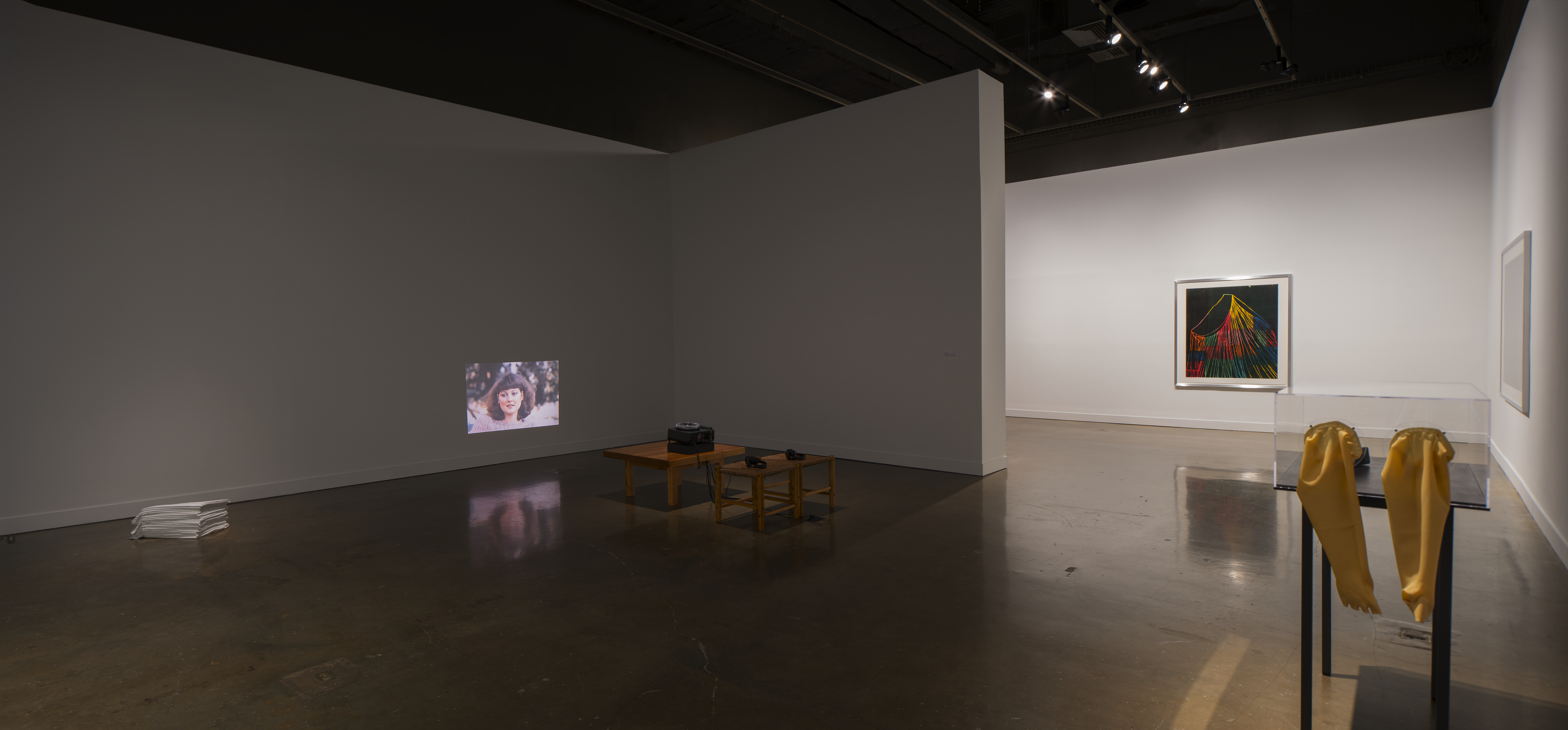 Installation view of An Inventory of Shimmers: Objects of Intimacy in Contemporary Art, MIT List Visual Arts Center, 2017