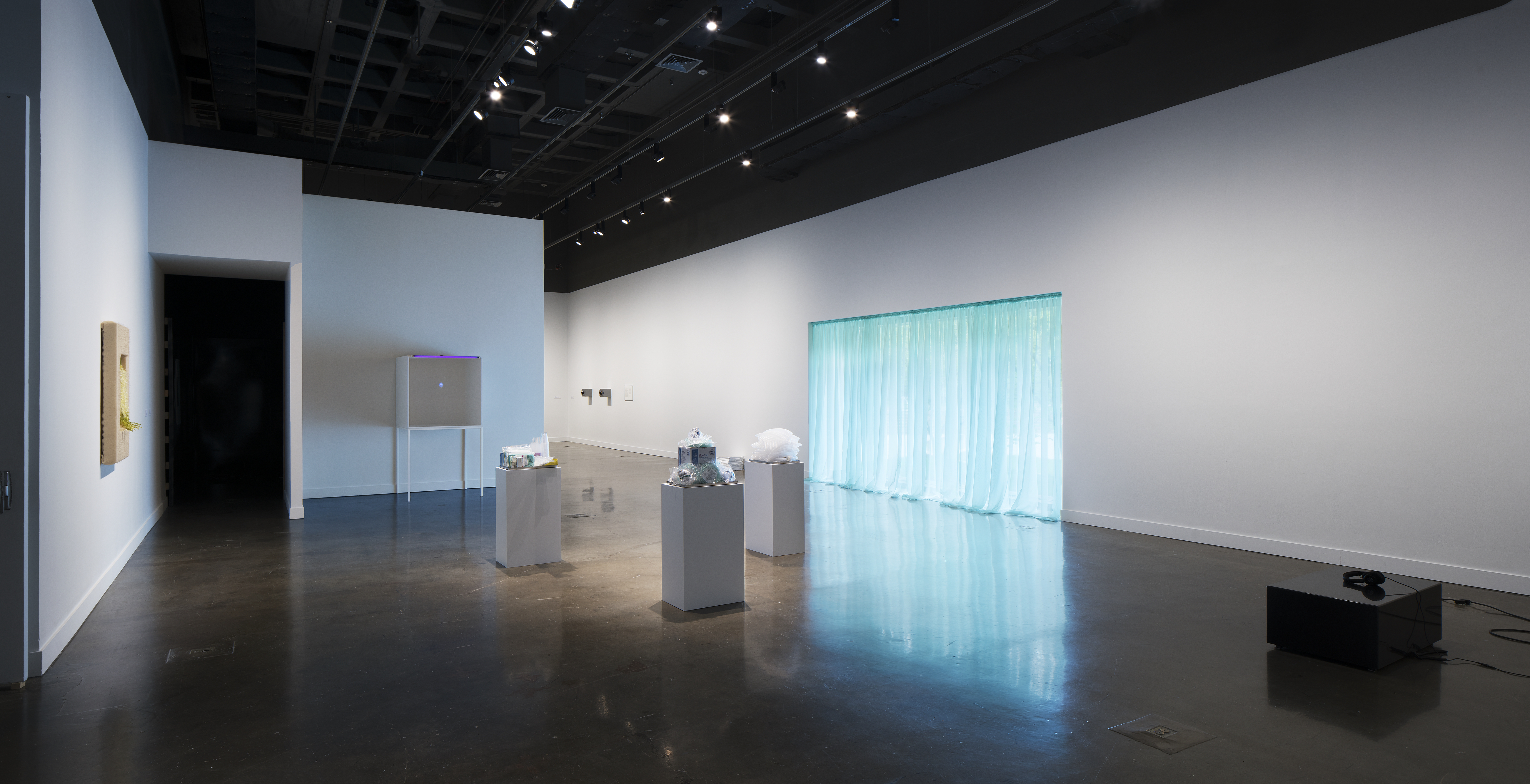 Installation view of An Inventory of Shimmers: Objects of Intimacy in Contemporary Art, MIT List Visual Arts Center, 2017