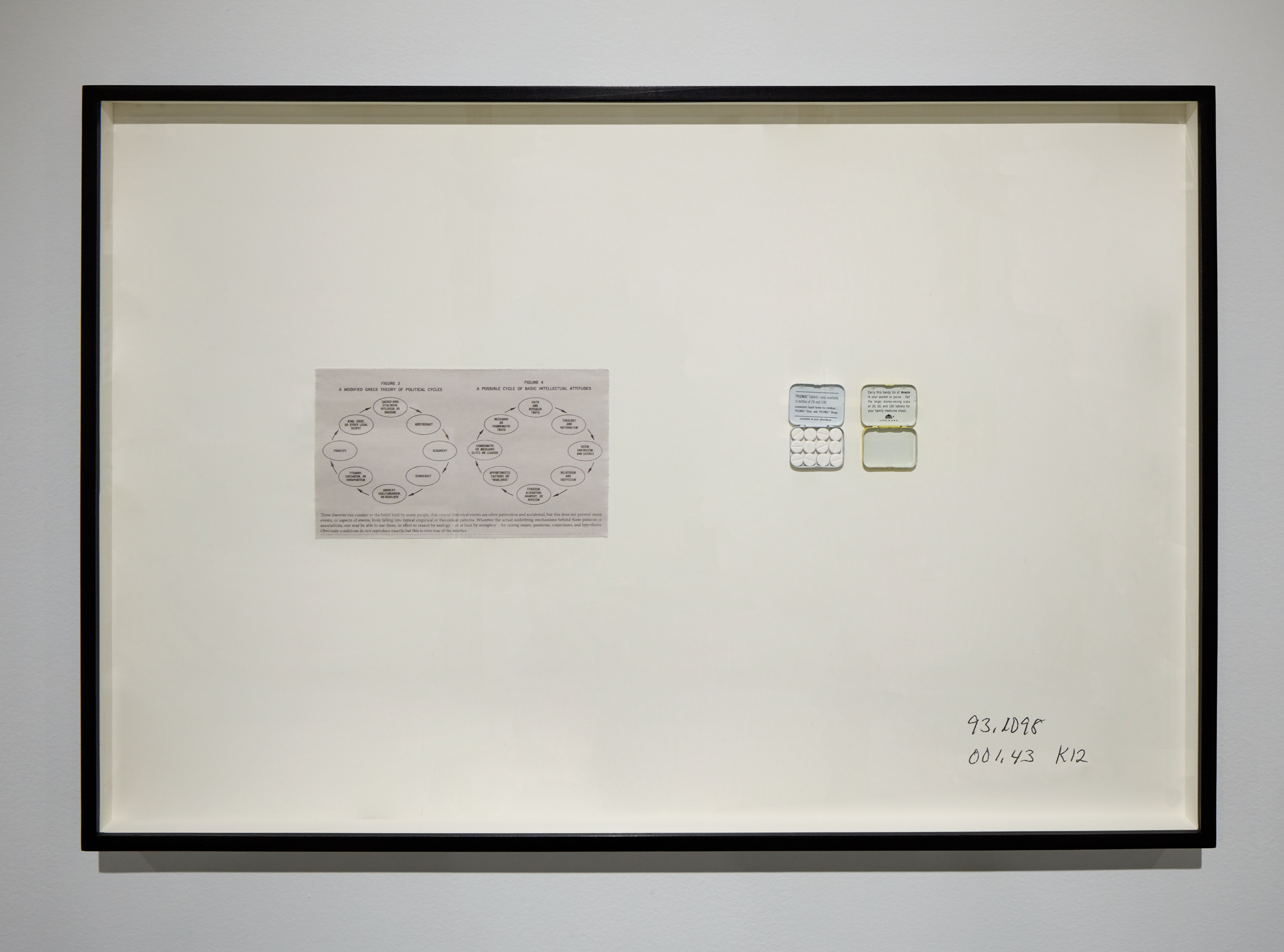 An artwork by Rose Salane features a diagram clipping of political cycles and a tin can with Tylenol pills.