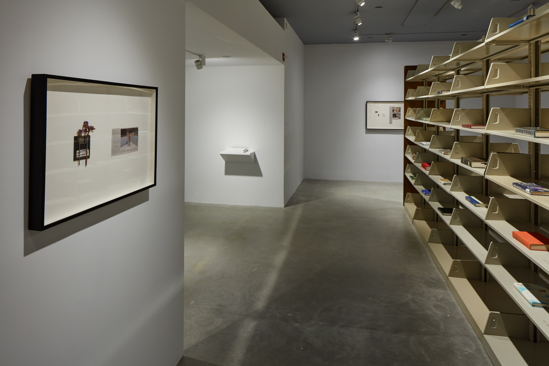 Installation view of a book shelf with beige shelves and framed works by Rose Salane.