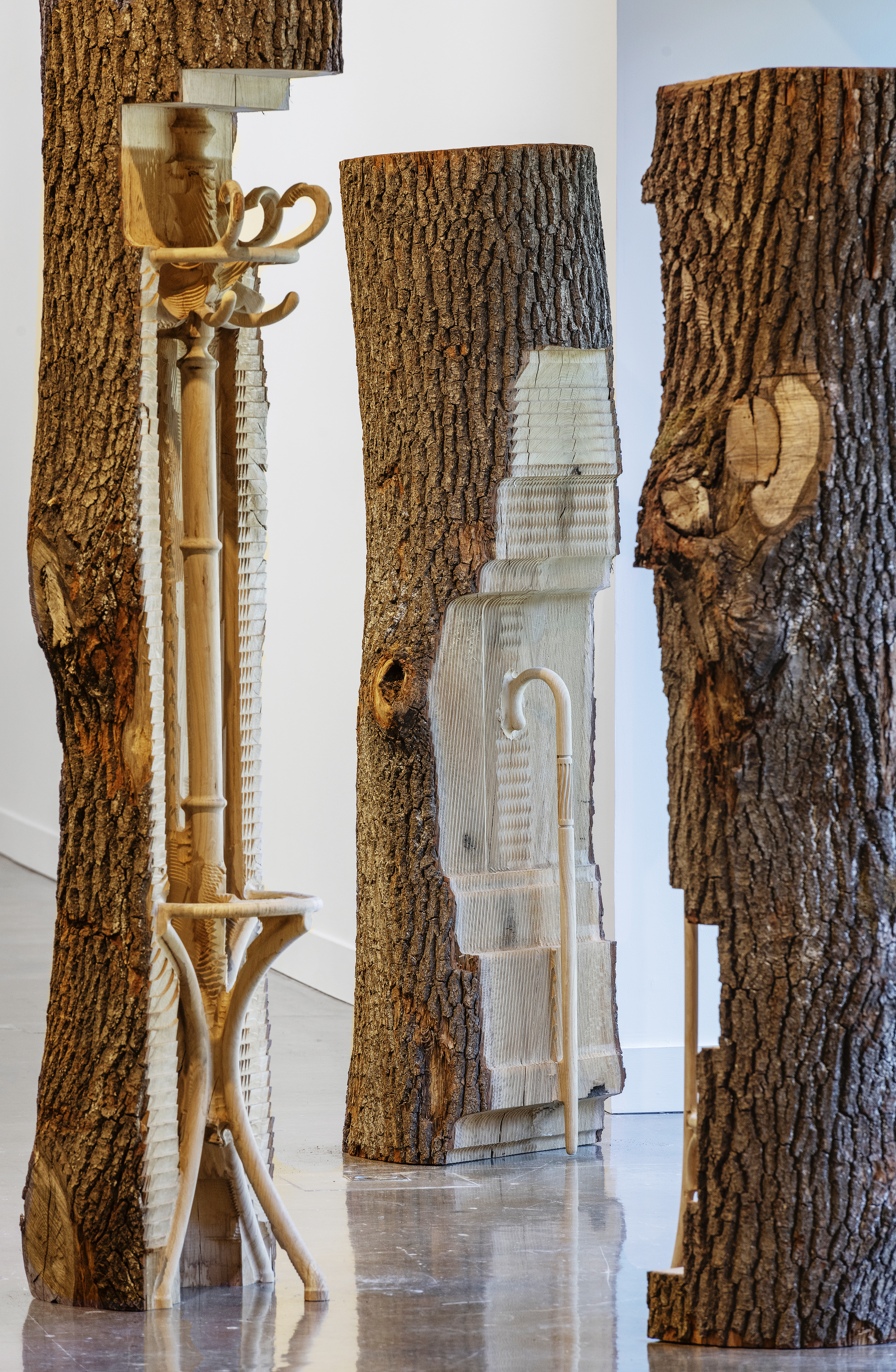 Detail view of trees with hollowed trunks with a stool and coat rack carved into them.
