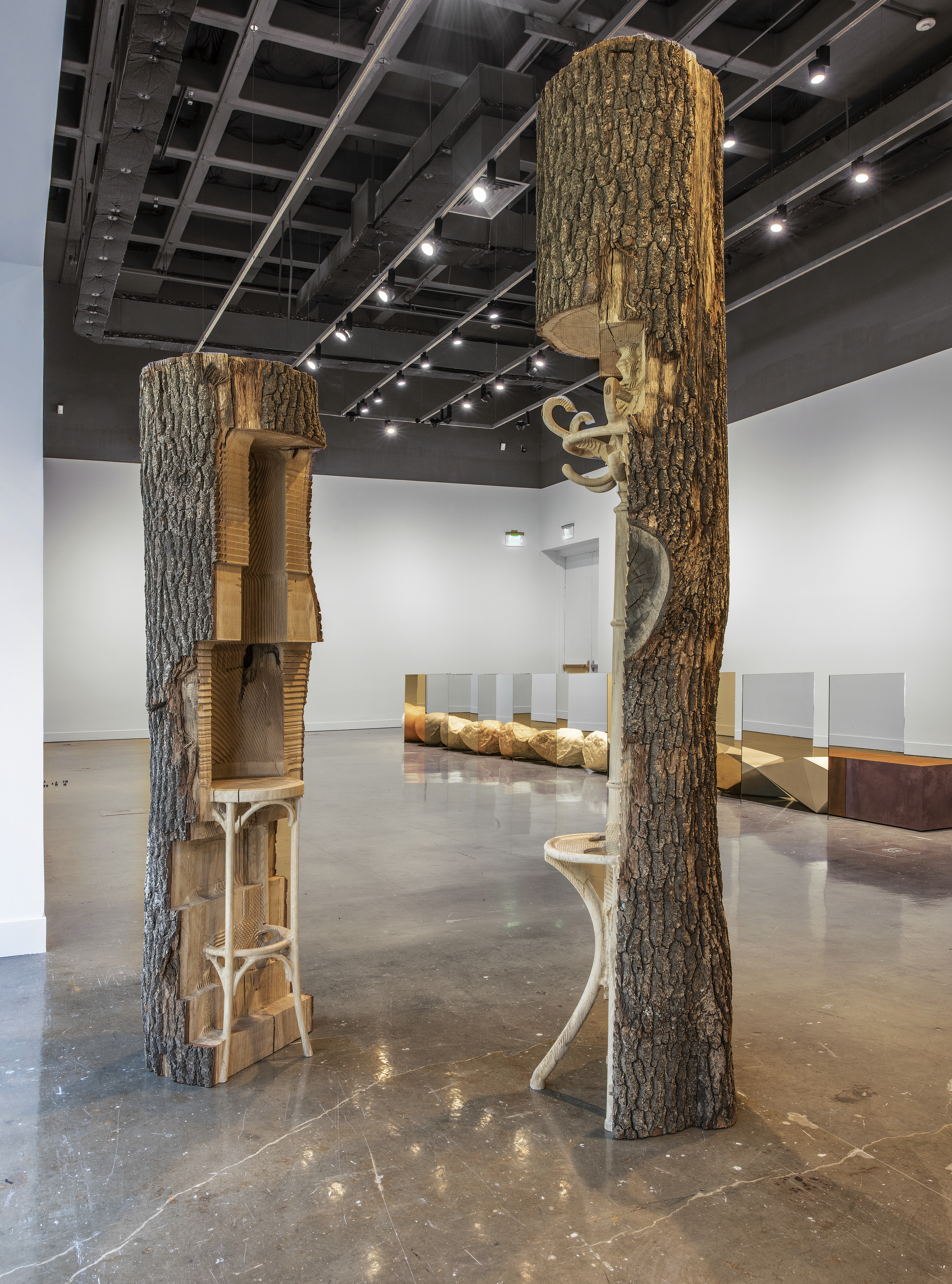 Installation view of trees with hollowed trunks with a stool and coat rack carved into them. In the background is the rest of the installation.