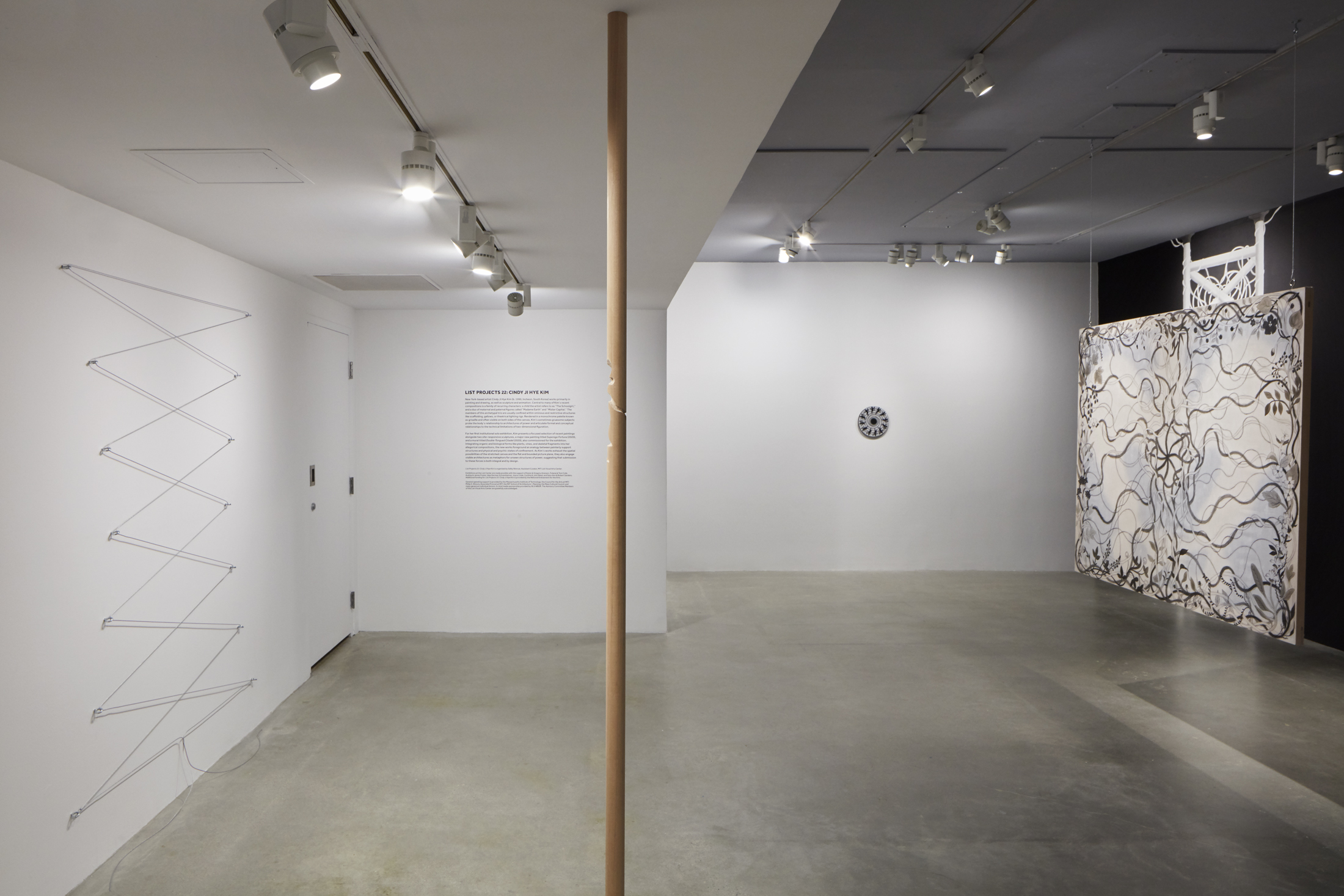 Installation view of the entire project space gallery with a wooden pole at the center, a cable zip shape on the left wall, and the painted murals on the right wall.