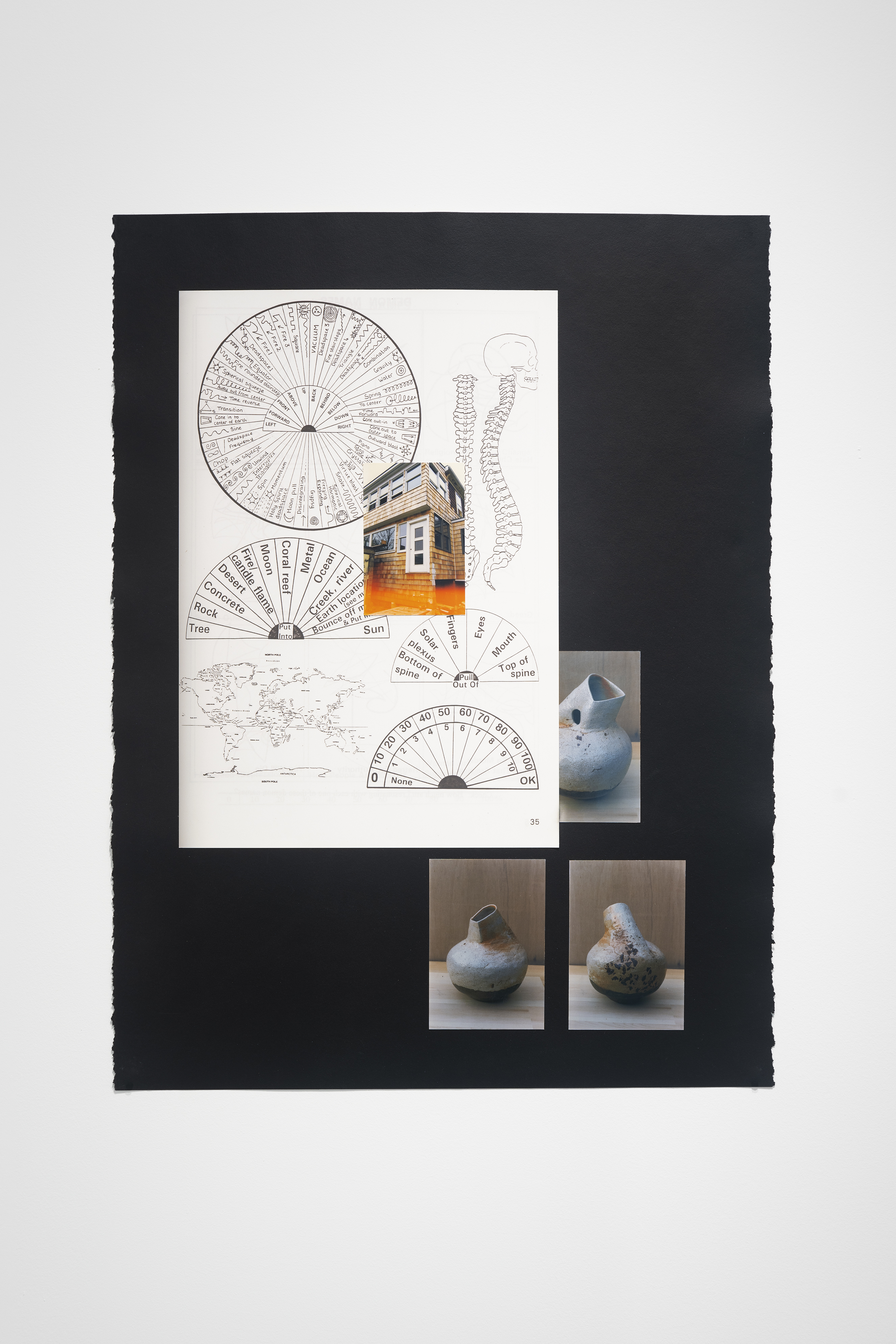 4 color photos, page of black-and-white circular charts, small world map, a skull and spine drawing assembled on black paper