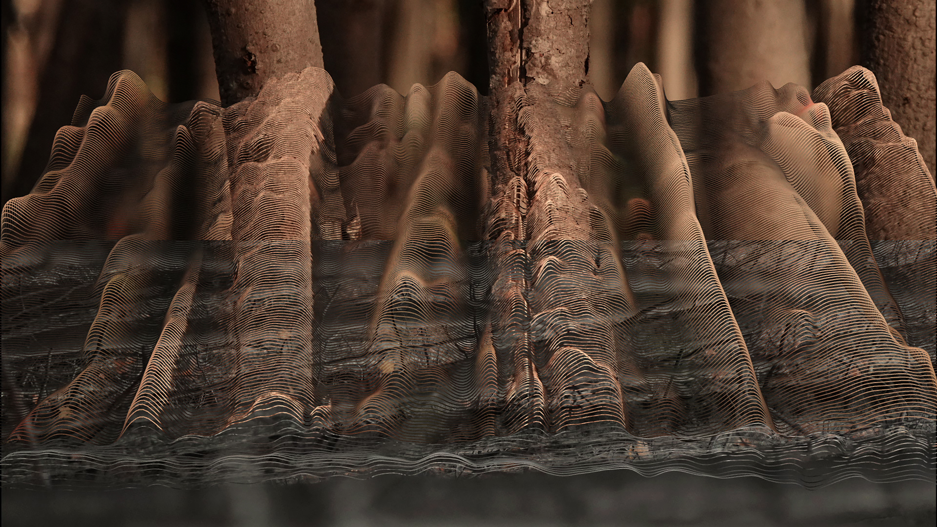 scalloped waveforms are overlaid on juxtaposed images of branches and trees
