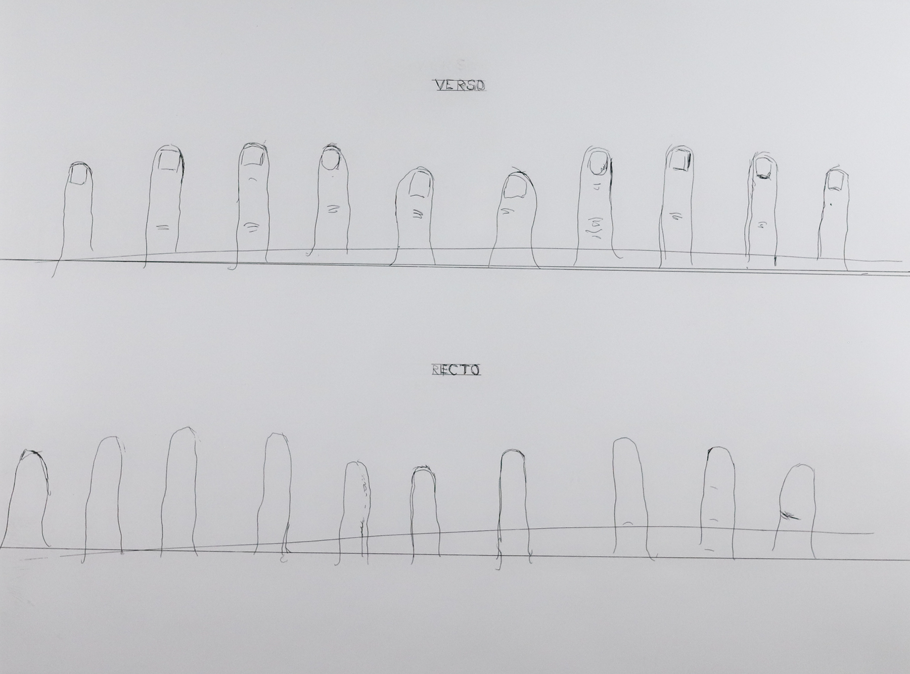 Sketch on white paper of a line of fingers and nails and the word Verso above and below a line of fingers from the other side that reads recto