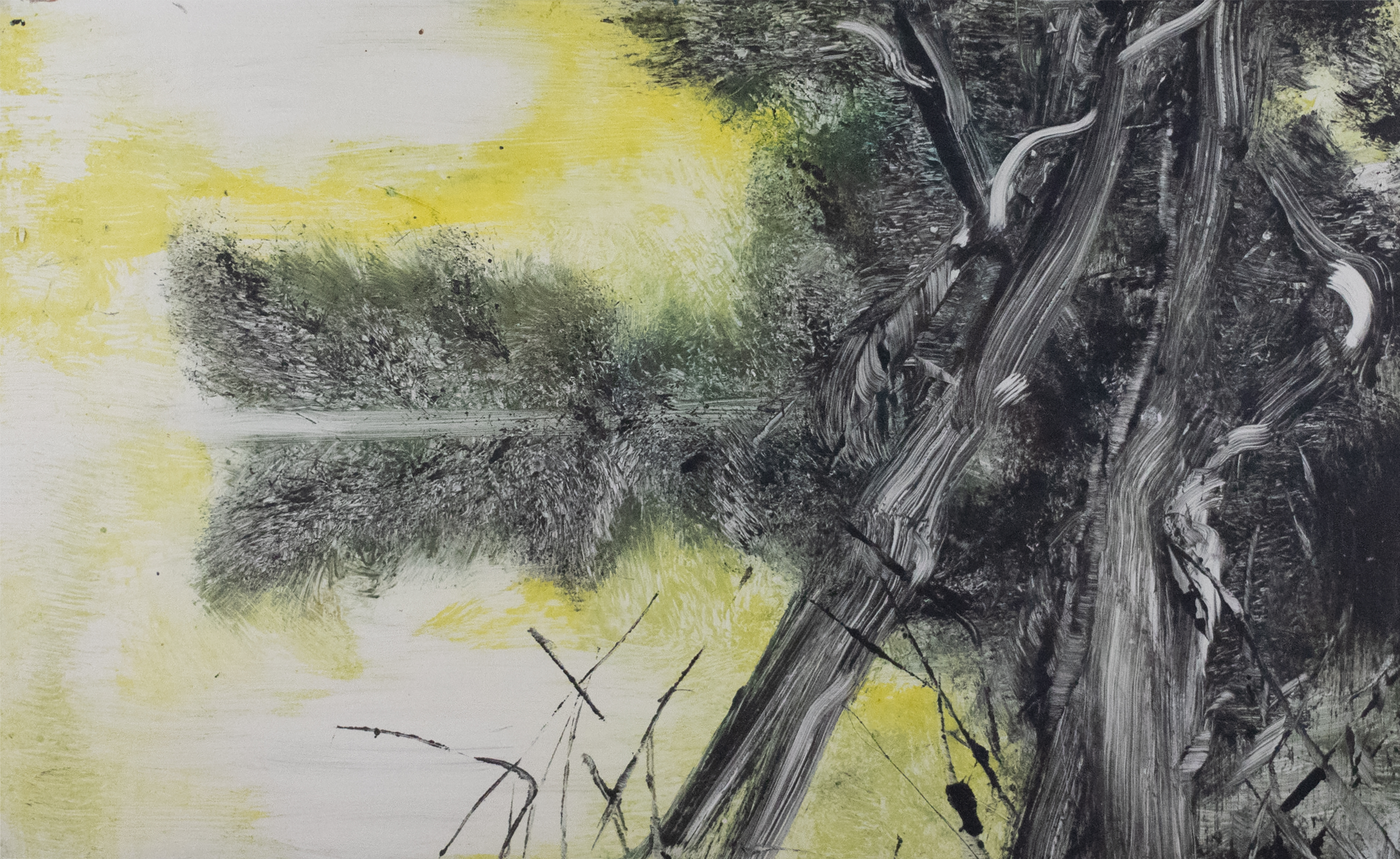 Yellow background with a landscape of trees and bushes reflected in body of water.