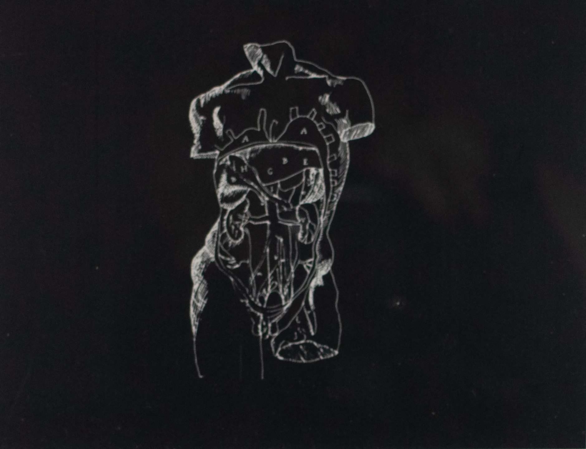 Black background with a diagram of a person's torso in white ink.