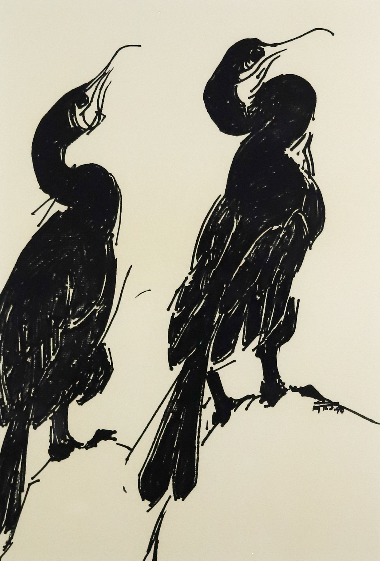 Cormorants (1), 1991 MIT List Visual Arts Center