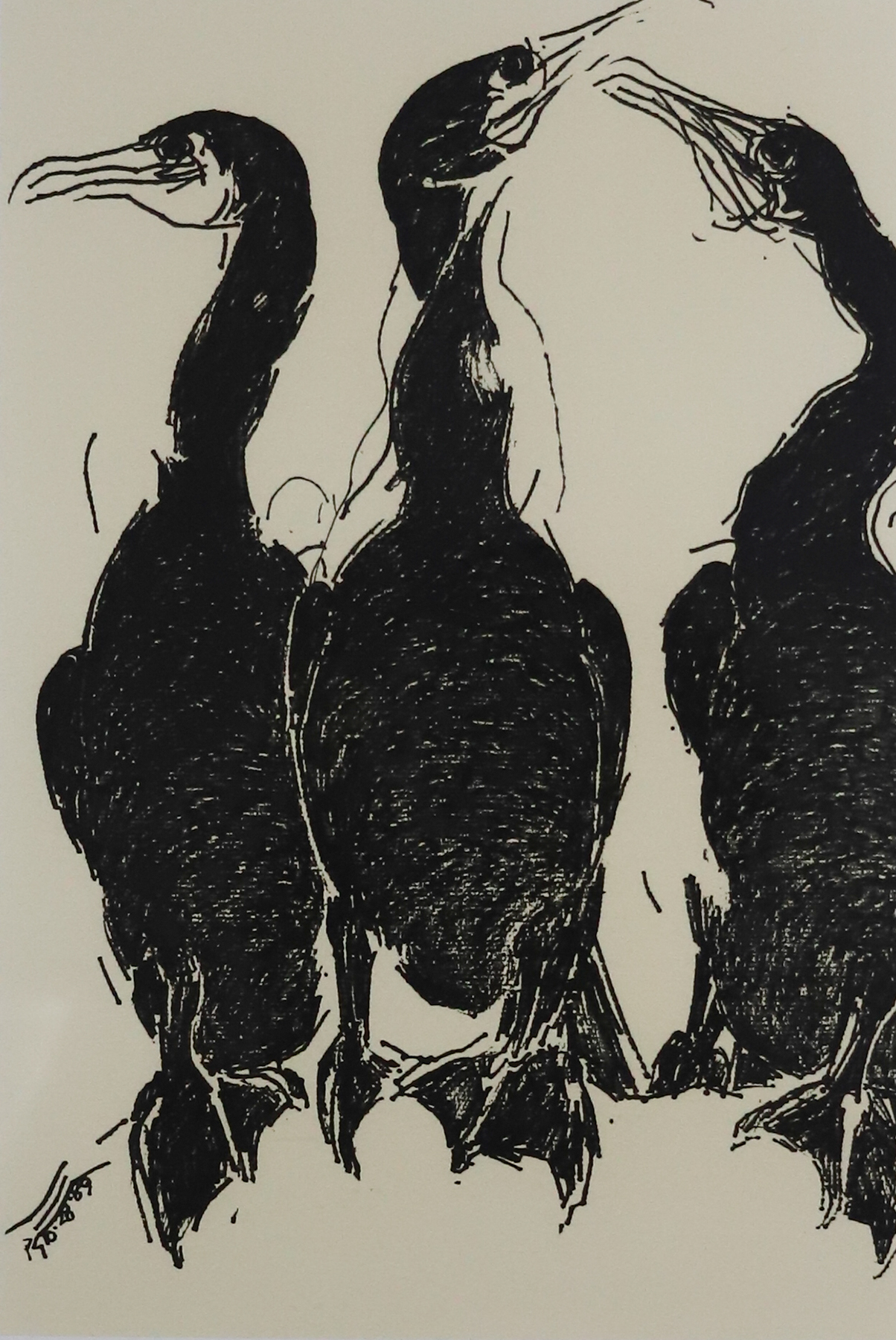 Print of three cormorants with their backs facing the viewer all looking in different directions.