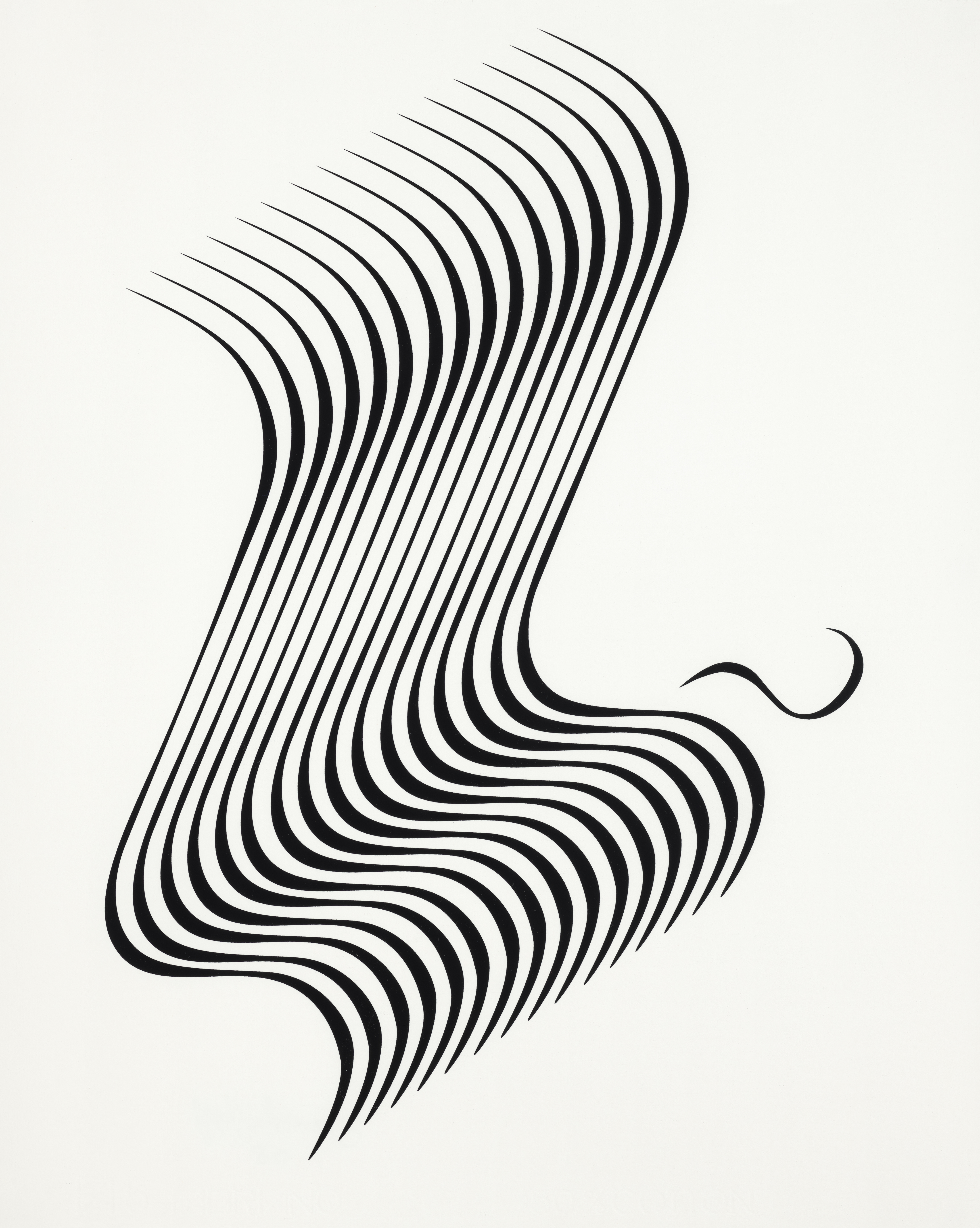 Black lines creating two waves that appear to be an illusion.