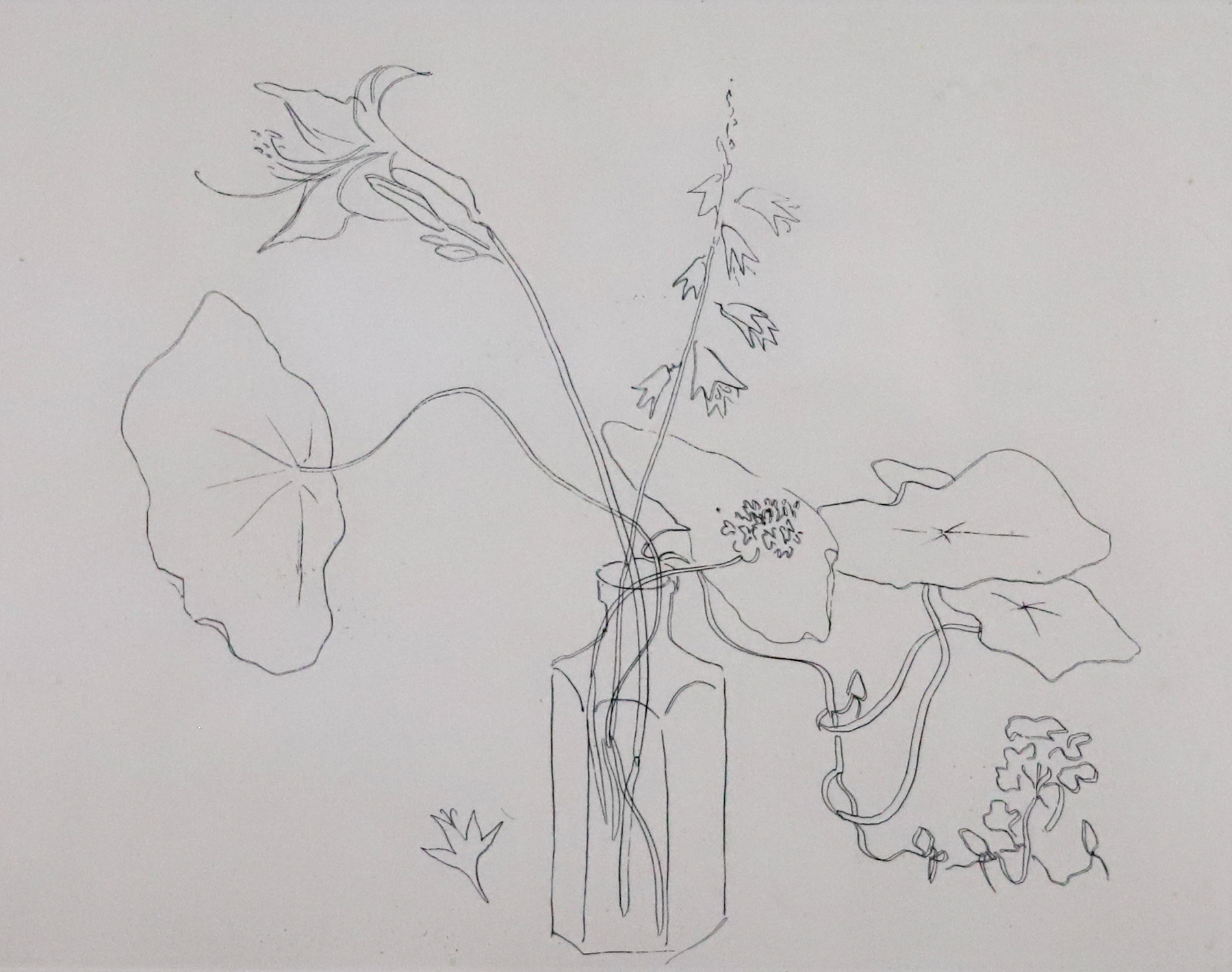 Line drawing of flowers with long stems in a small vase.