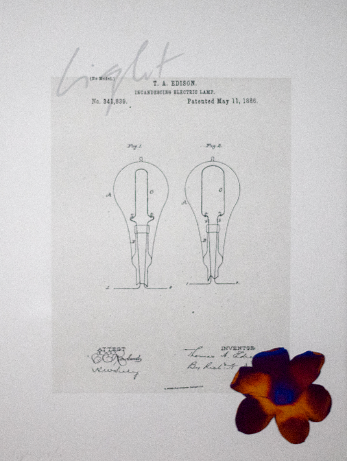 Two figures of an electric lamp bulb marked T.A. Edison at the top with 'Light&quot; written above the print and a multicolor flower on the lower right corner.