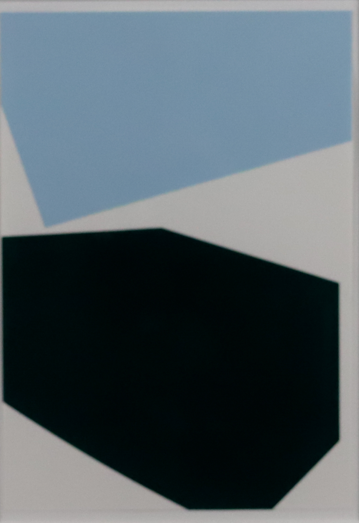 One black and one light blue abstract shape on a white canvas.