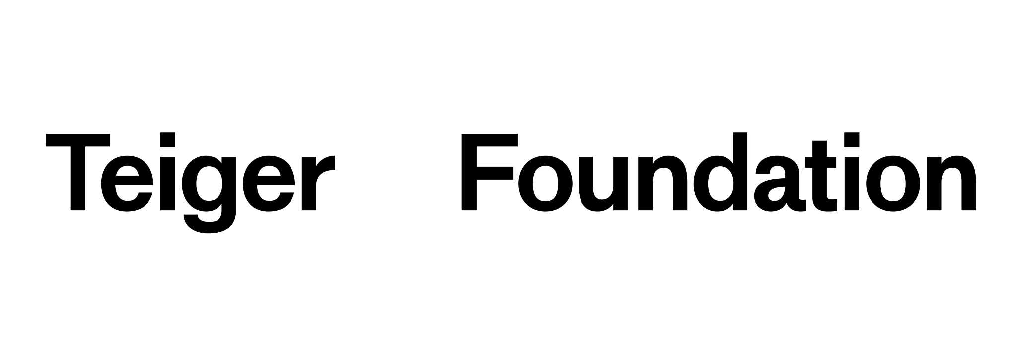 Logo for the Teiger Foundation. Text reads "Teiger Foundation"