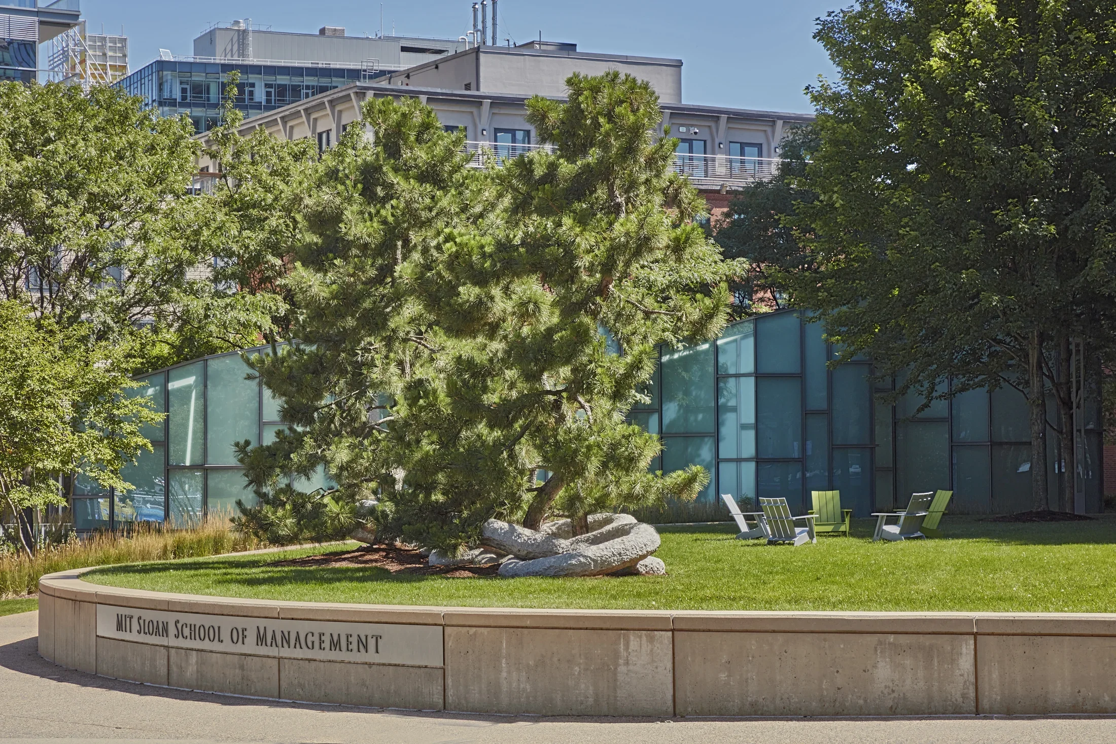 Raised bed of grass with a stone edge featuring a group of pine trees with large granite rings linking at the base of the trees. 